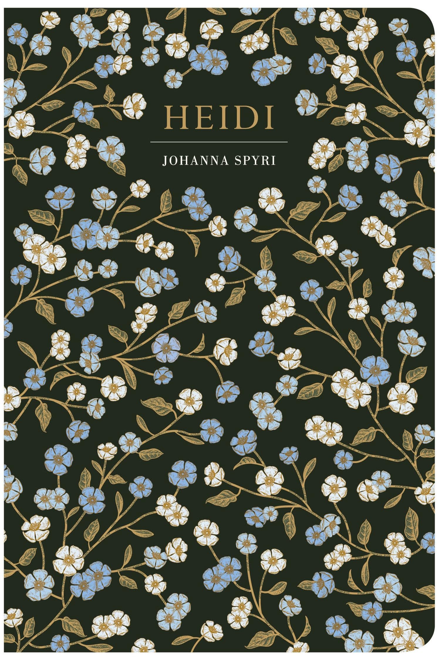 Heidi by Johanna Spyrl - 9781914602597