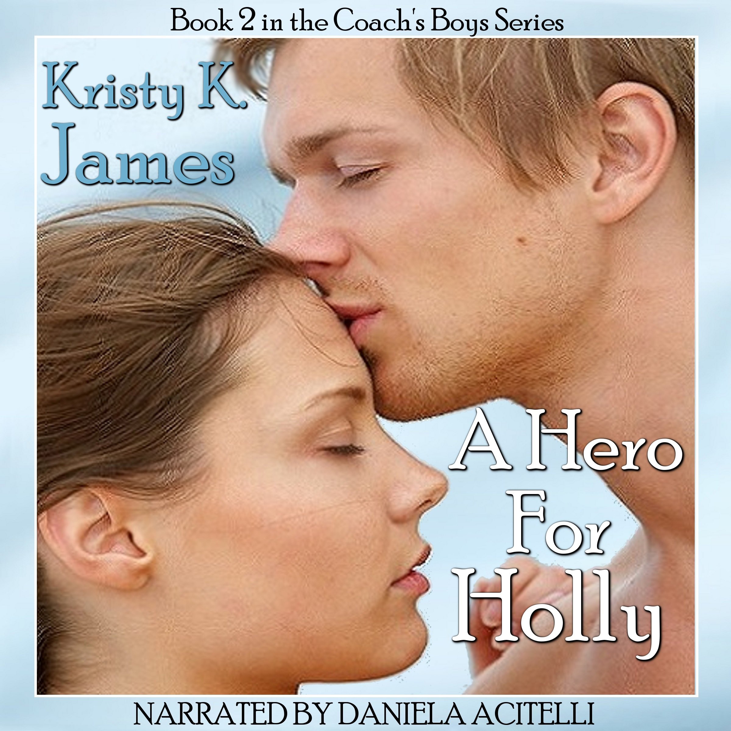 Cover art for A Hero for Holly