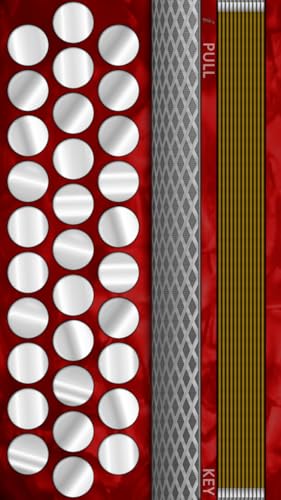 Melodeon (Button Accordion)