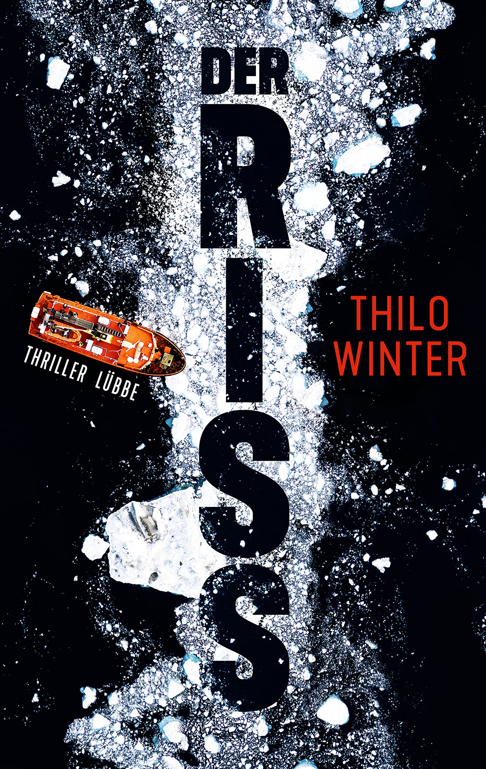 Lübbe Der Riss: Thriller