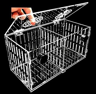 Magnetic Acclimation Box fish Breeder Nursery isolation Tank