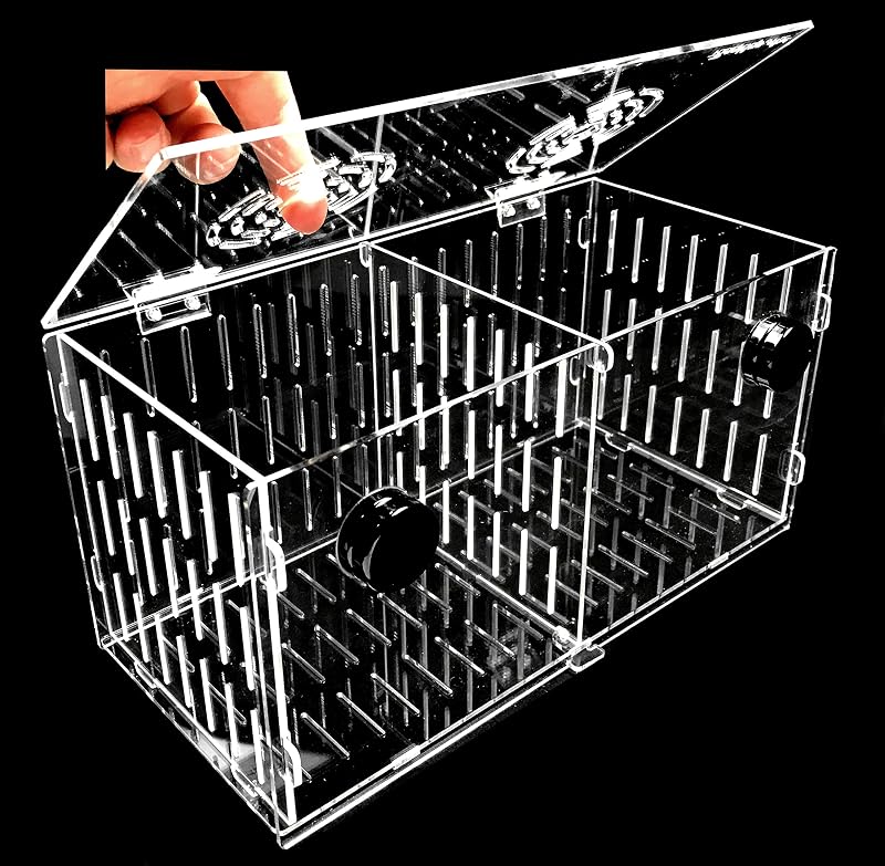 Caixa de aclimatação magnética para aquário Reefing Art em acrílico transparente MAG12FV – 30,48 x 15,24 x 15,24 cm