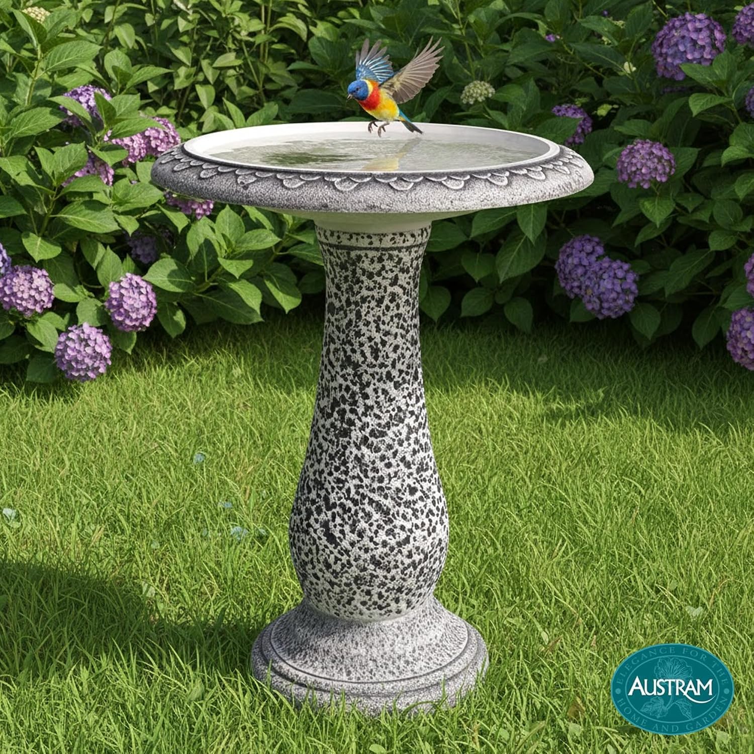 Pedestal Birdbath with Solar Fountain, Resin Stone Composite Outdoor Garden Decor, Standing Bird Bath for Outside Patio Yard, 23-Inch Tall, Garden Fountain, Resin Bird Baths, Hummingbird Bowl