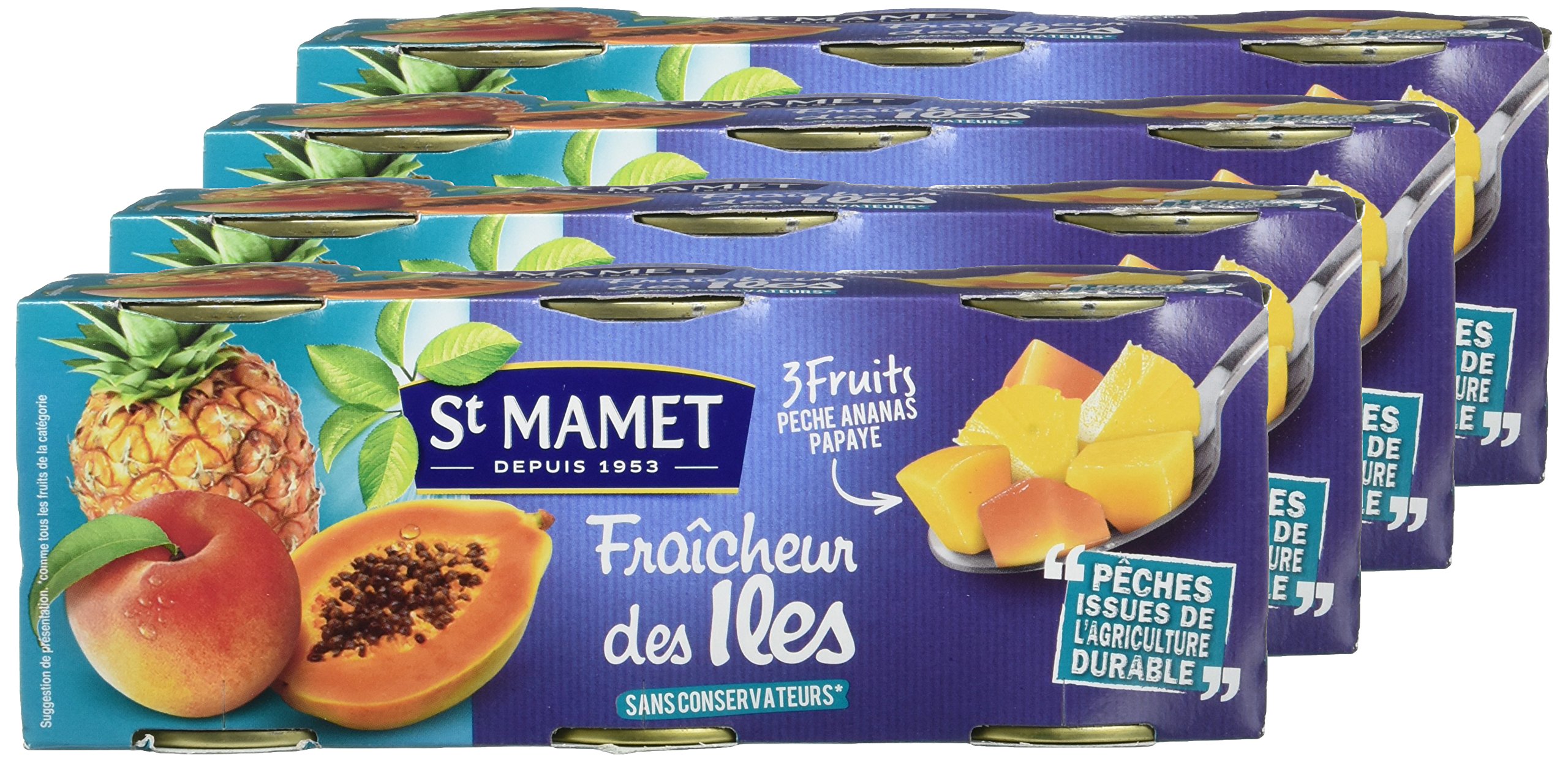 SAINT MAMET - Les Fruits en Morceaux - Les Salades de Fruits - Fraicheur des Iles - Lot de 4