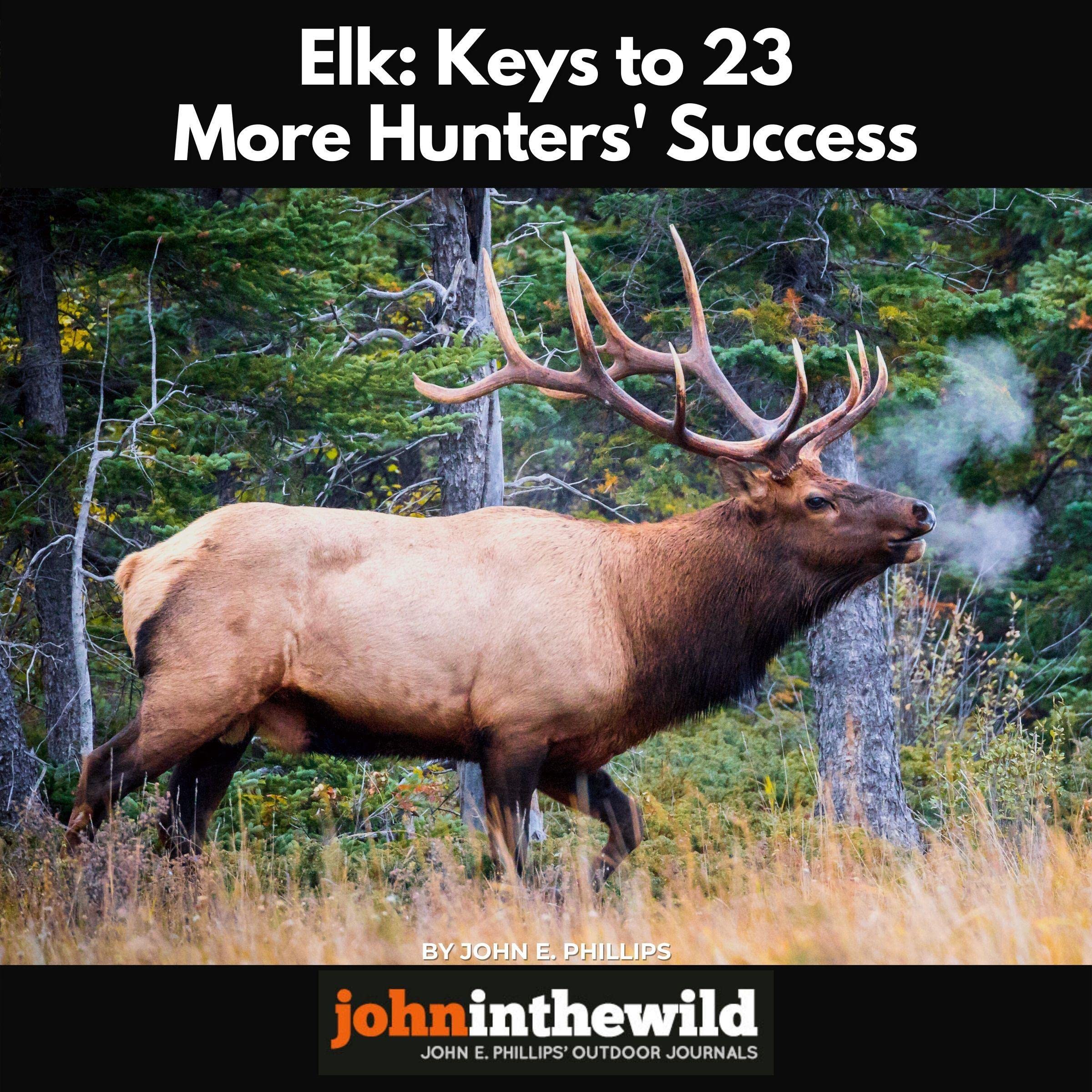 Elk: Keys to 23 More Hunters' Success