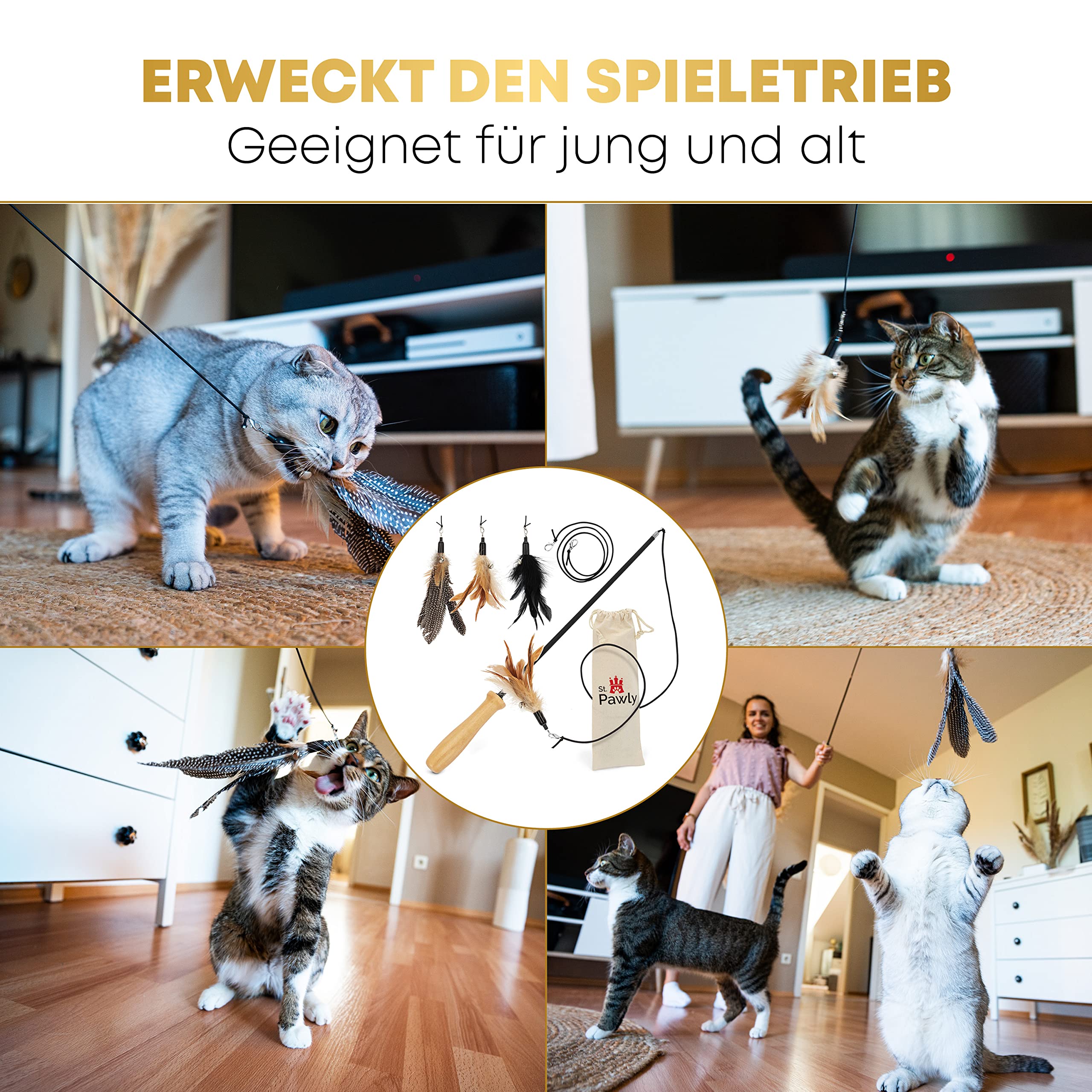 St.Pawly® Katzenangel - Katzenspielzeug - austauschbare Anhänger - Ersatzband - ergonomischer Holzgriff - nachhaltiges Spielzeug für Katzen - stabil
