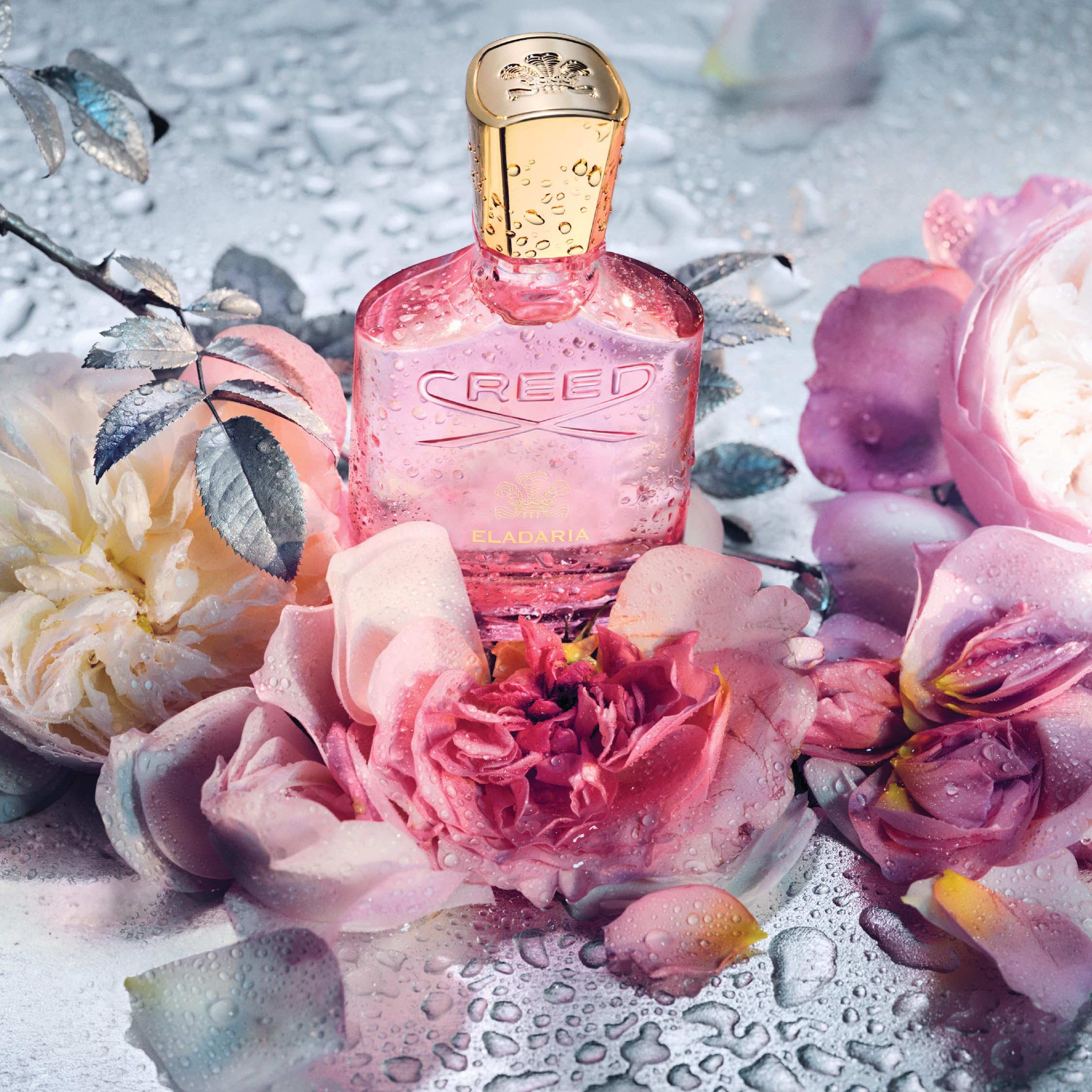 Creed Eladaria Eau de Parfum for Women 75 ml : Amazon.com.au: Beauty