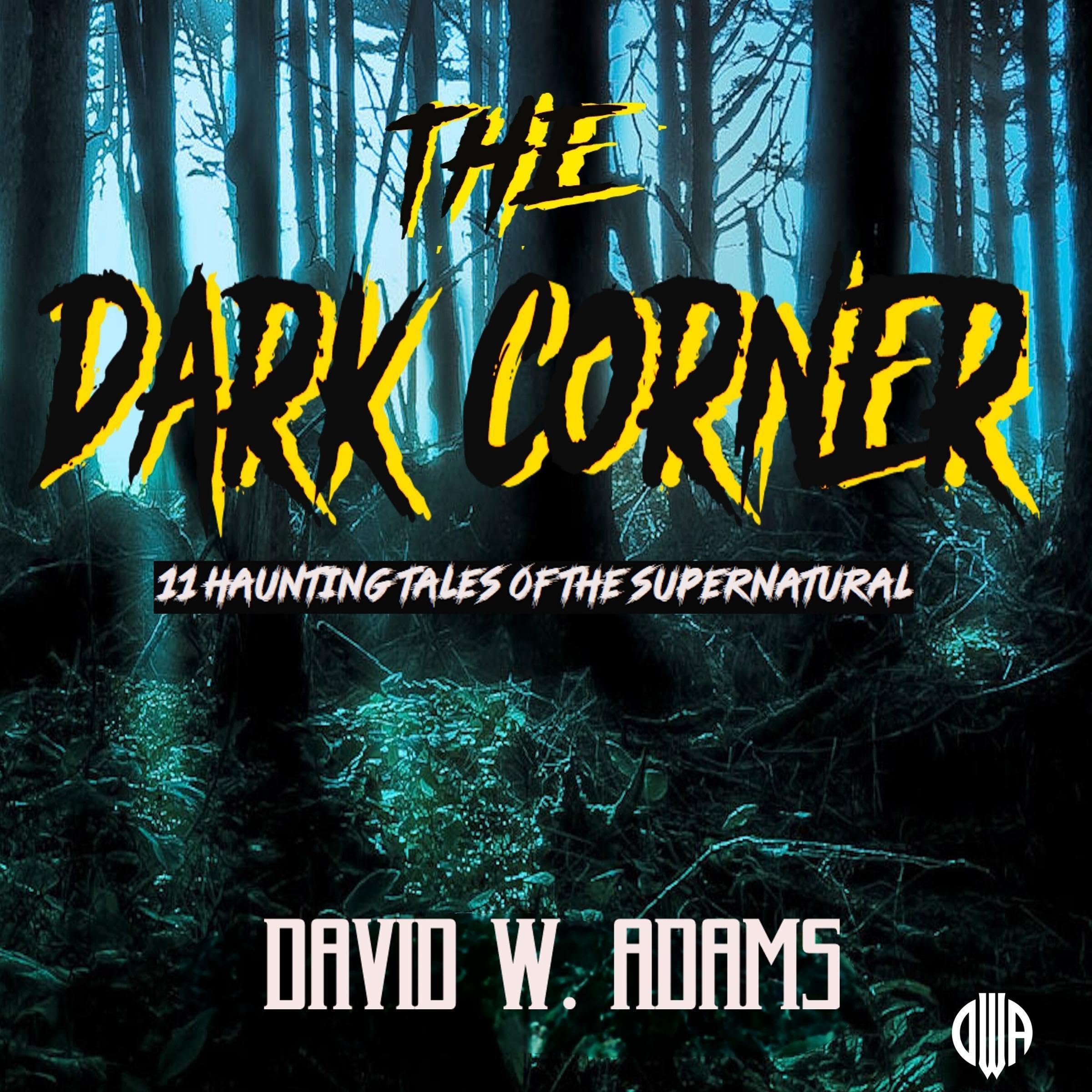 Cover art for The Dark Corner