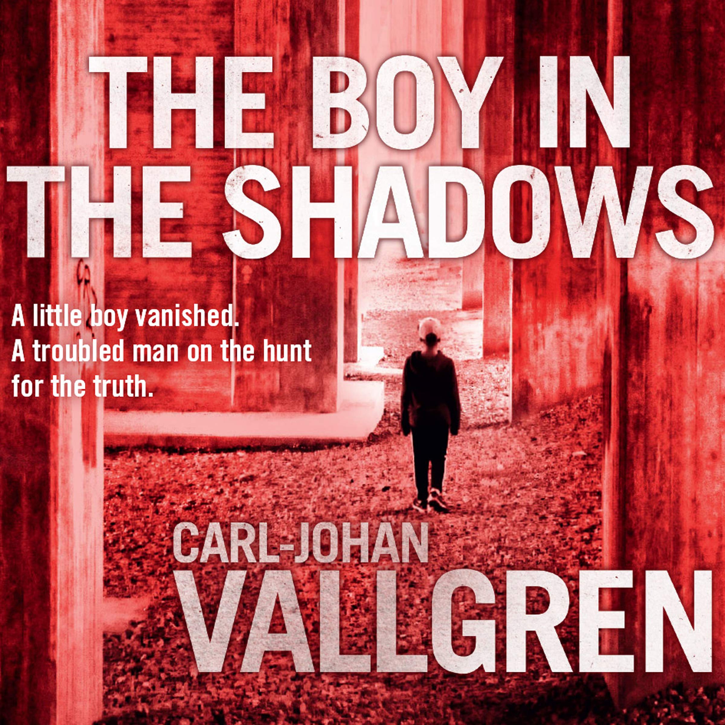 Cover art for The Boy in the Shadows
