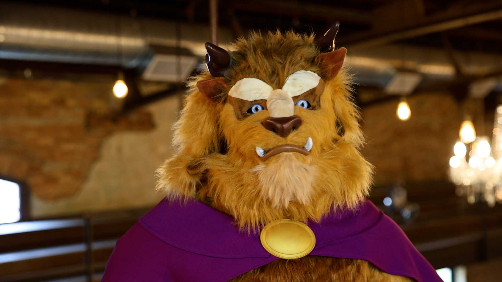 Amazon.com: Men's Authentic Caped Disney Beast Costume | Adult