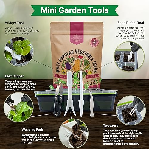 Miniatura 5 de Organo Republic Paquete de variedad de 40 semillas de vegetales  26000 semillas autóctonas sin OMG para plantar verduras y frutas a granel en