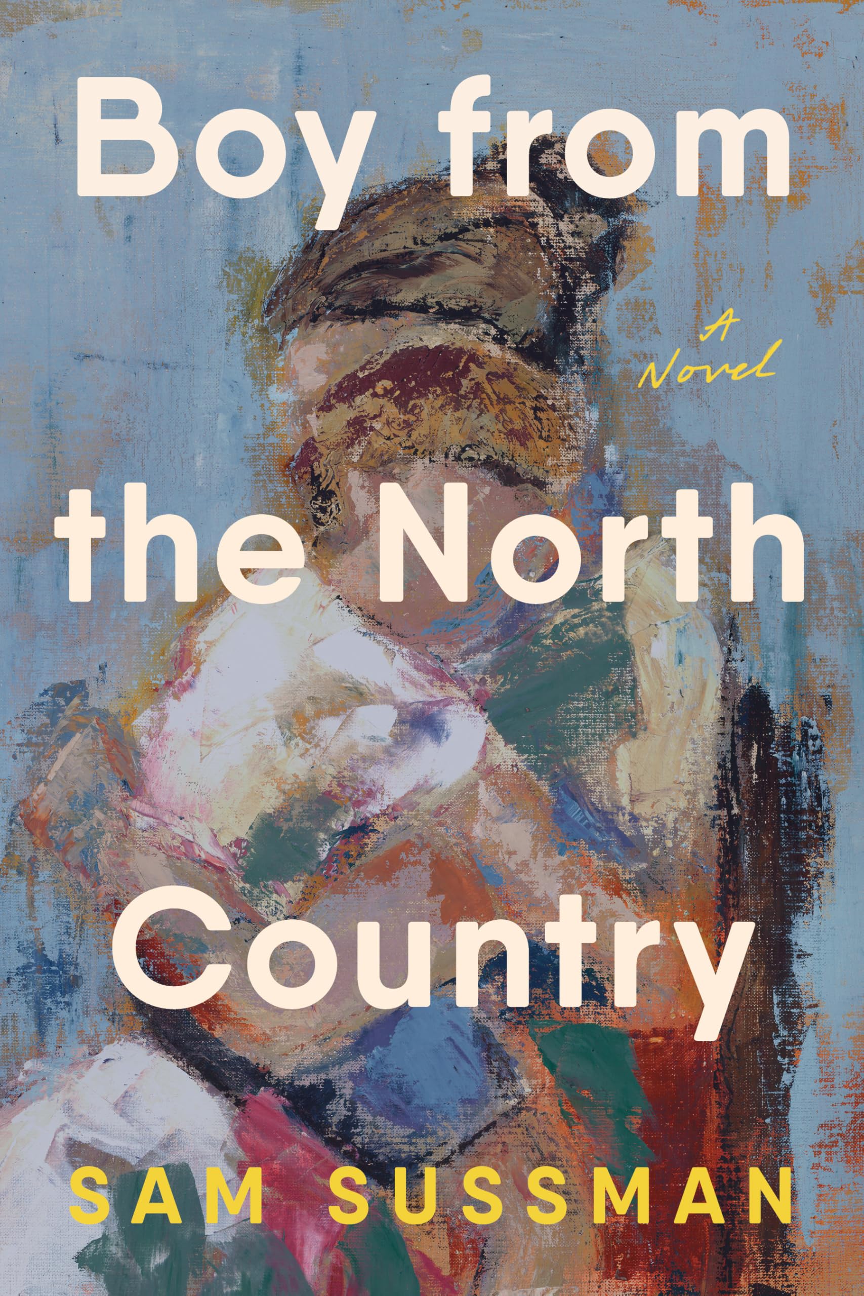 Boy from the North Country: A Novel