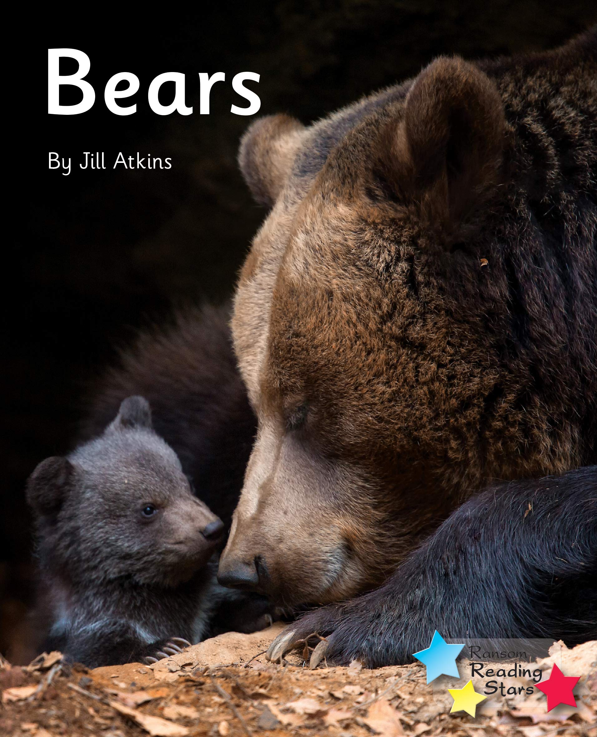 Bears: Phonics Phase 5 (Reading Stars Phonics)