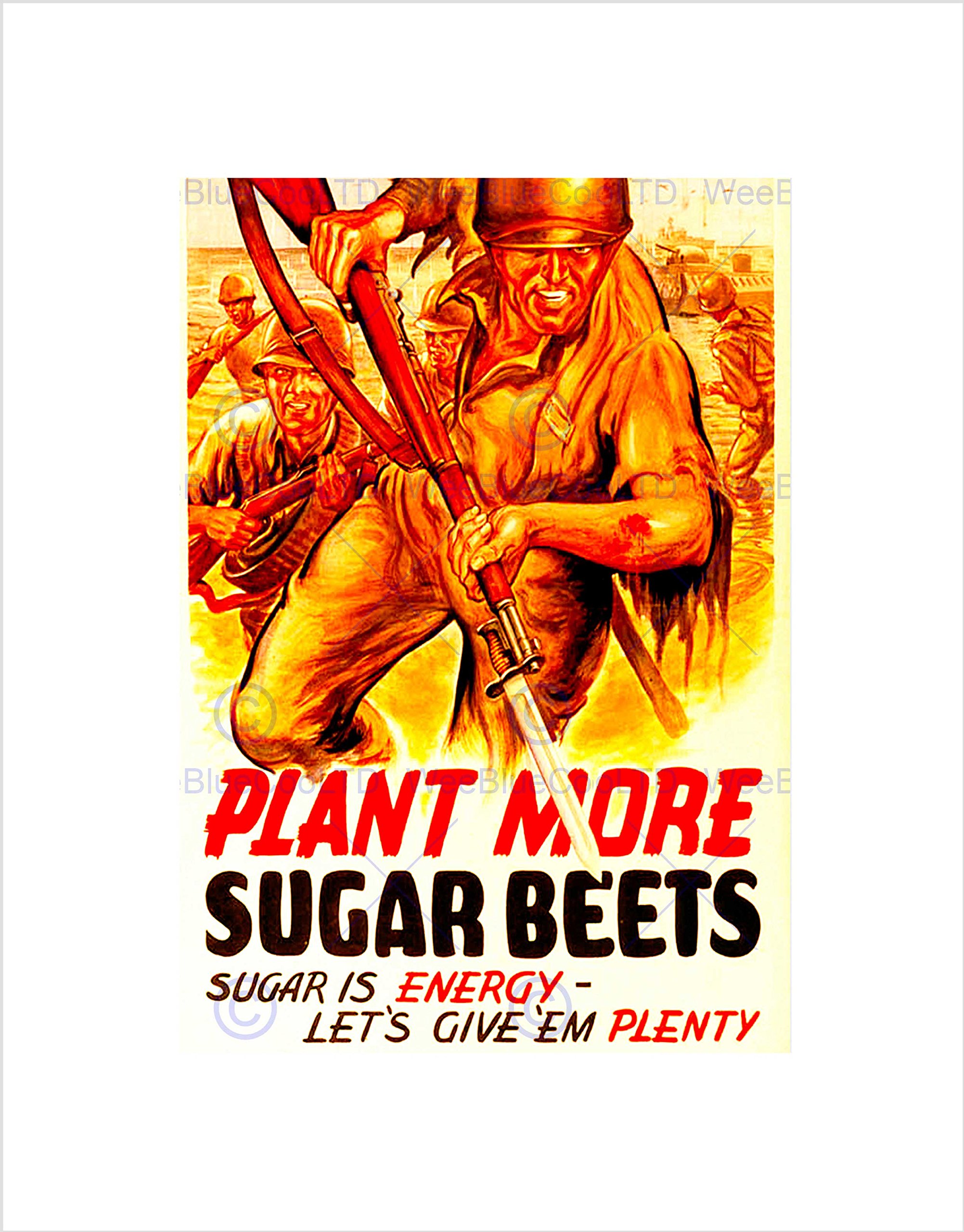 Wee Blue Coo WAR WWII SUGAR BEET PLANT ENERGY SOLDIER BAYONET FRAMED ART PRINT B12X7719