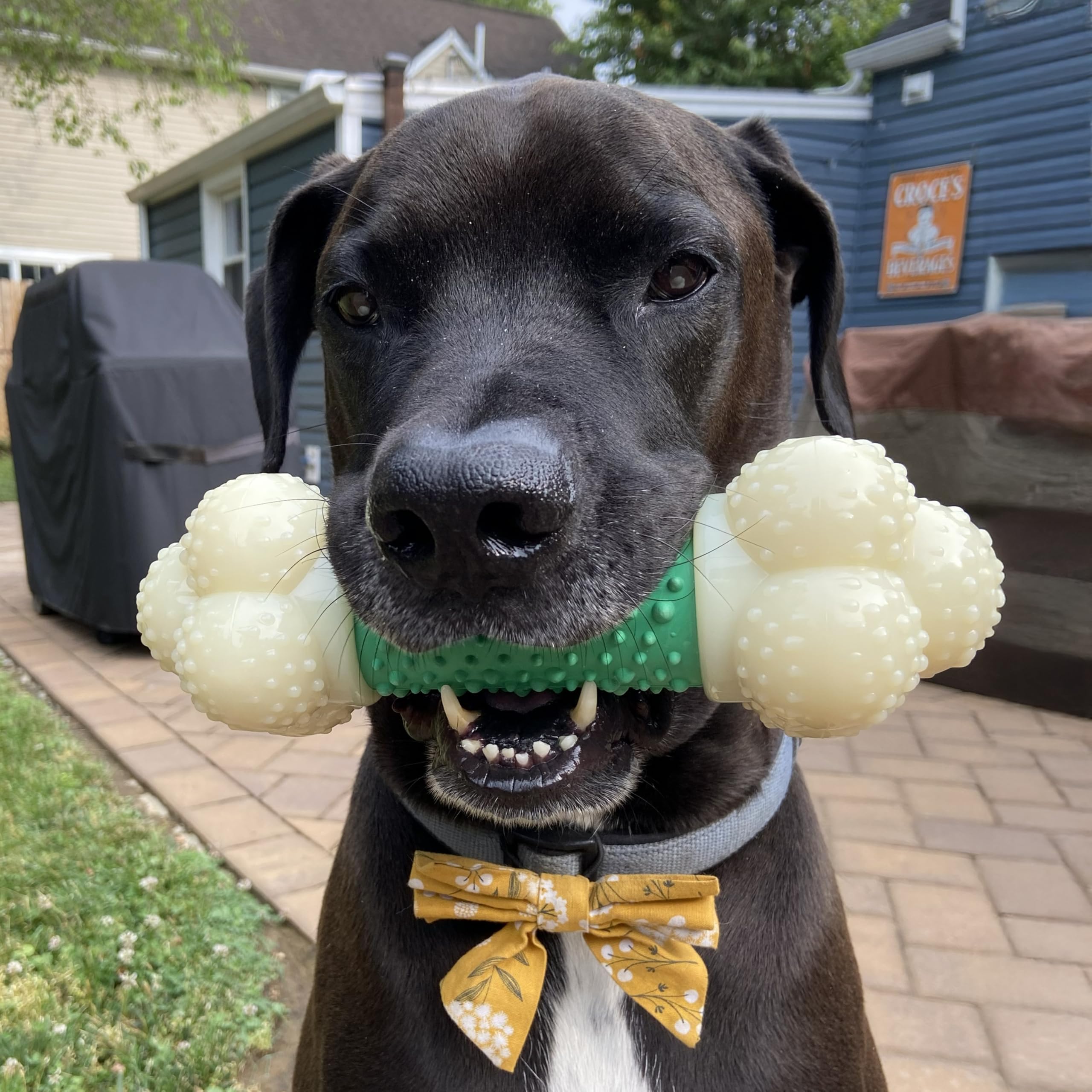 Nylabone gryzienie kości i zabawka dentystyczna dla agresywnych gryzaczy, podwójna tekstura, smak bekonu - XL – nadaje się dla dużych psów o wadze 23 kg i większej