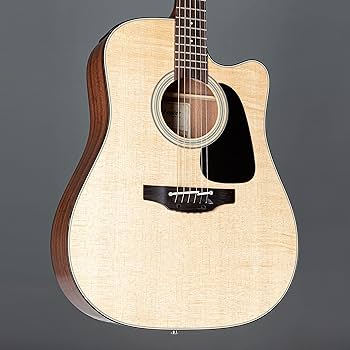 タカミネ　アコースティックギター Amazon | Takamine タカミネ Pro Series 2 Dreadnought Cutaway