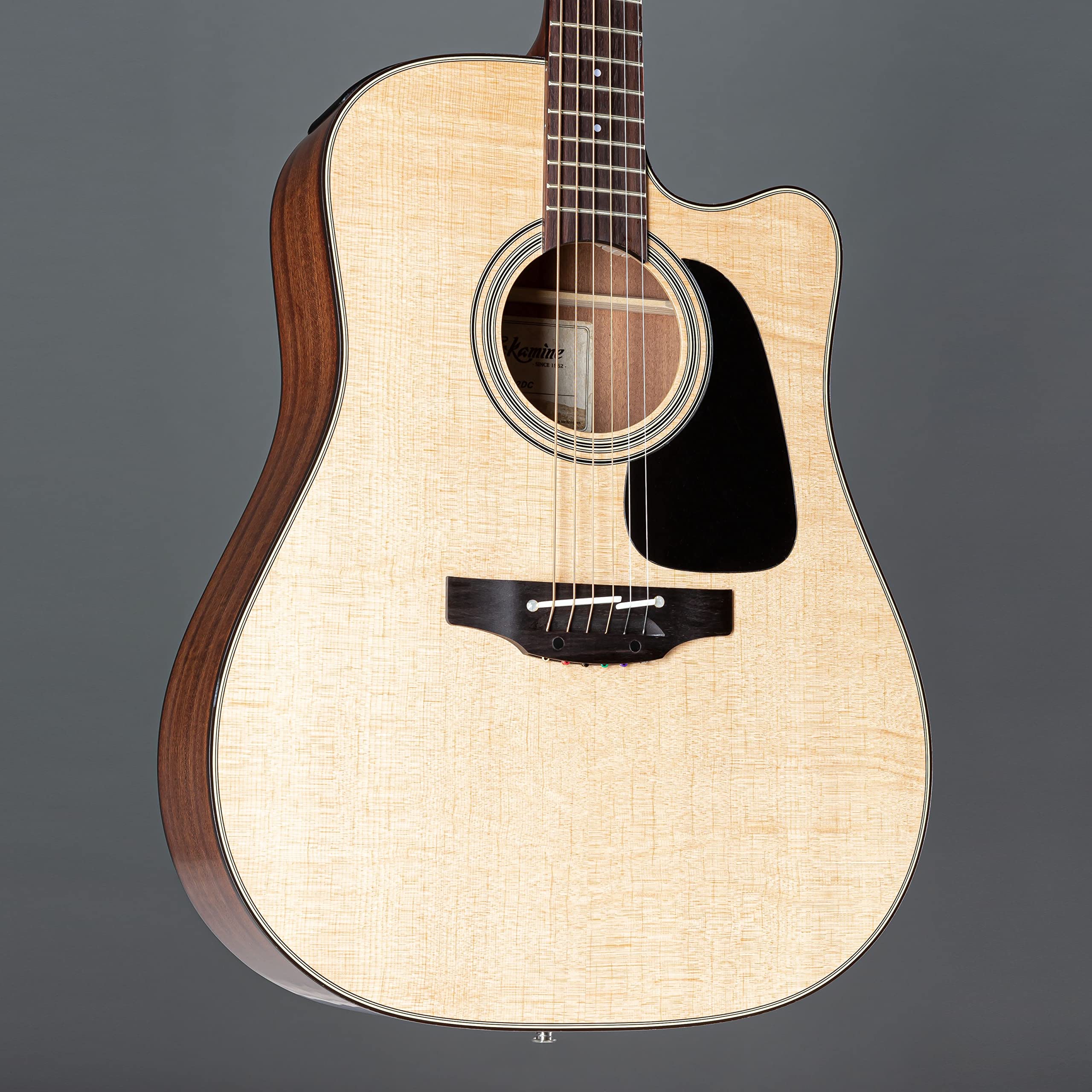 Amazon | Takamine タカミネ Pro Series 2 Dreadnought Cutaway