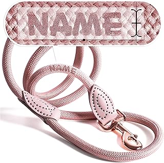 Personalisierte Hundeleine 1,2 m oder 1,7 m Länge (leicht dehnbar) extrem hochwertig verarbeitet | Tauleine für Hunde | Führleine mit Namen (Mauve, 120 cm)