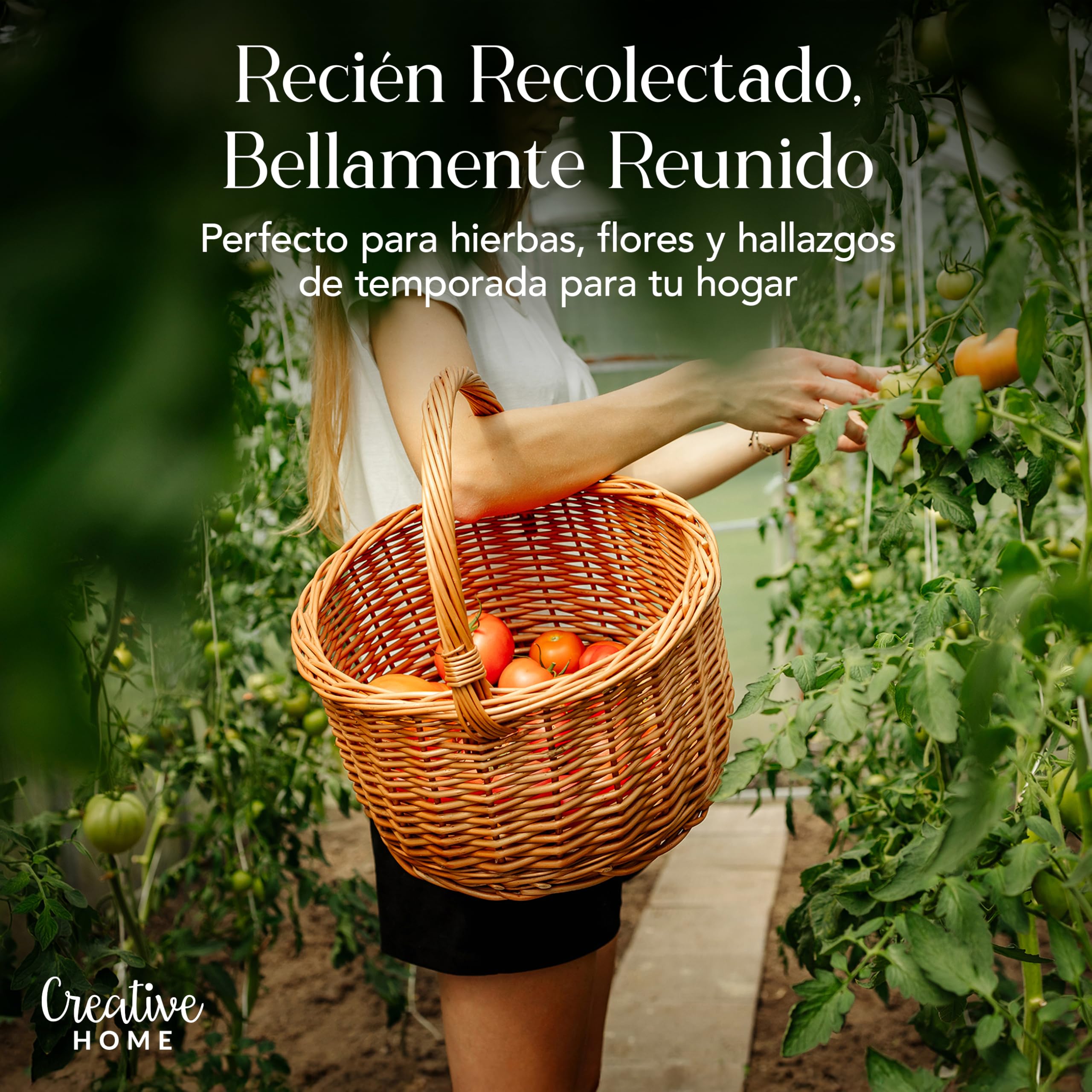 Creative Home Cesta de Mimbre con Asa | Color Marrón Natural 35x35x36cm | (+/-2cm) | Grande y Ligera | Tejida a Mano | Cesta de Regalo, Picnic, Fruta Almacenaje Decoración | Práctica y Duradera