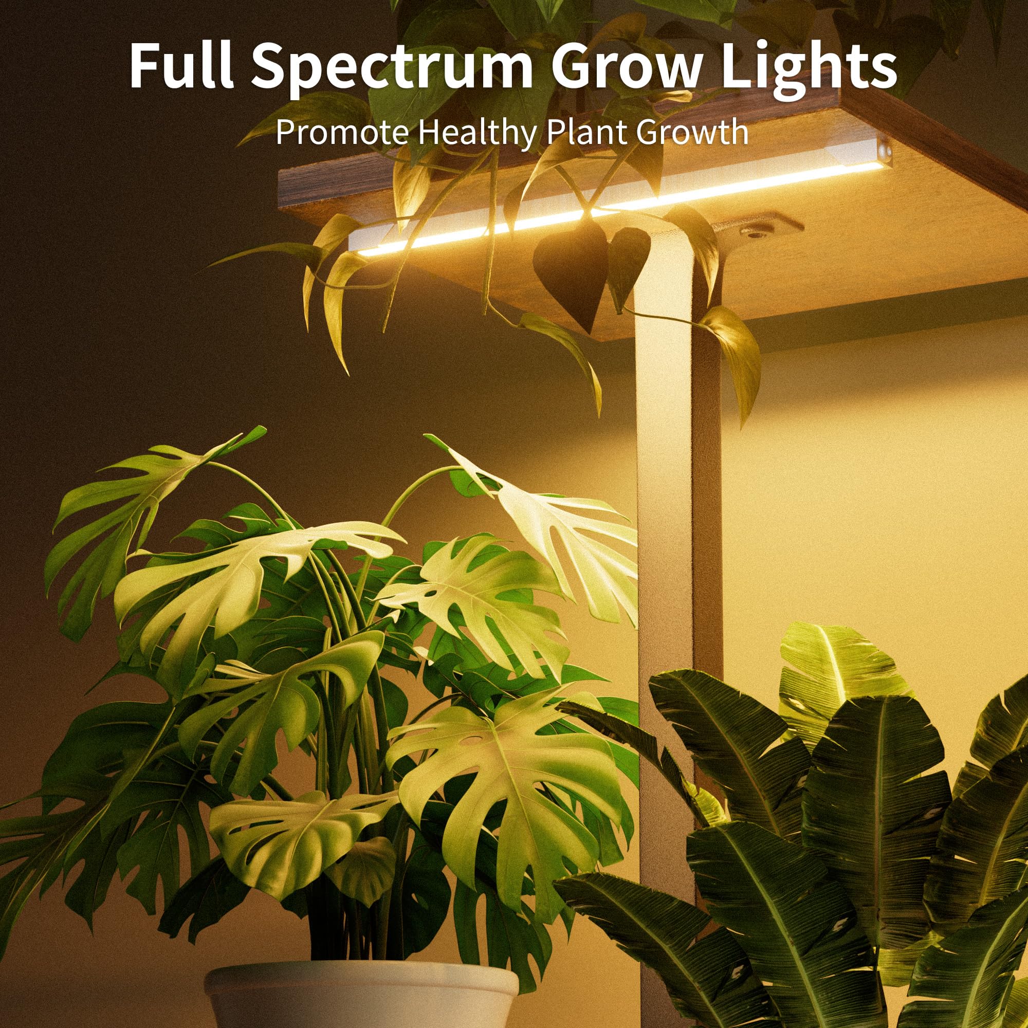 Amazon.co.jp: LATIBELL 植物スタンド グローライト屋内植物棚付き 2