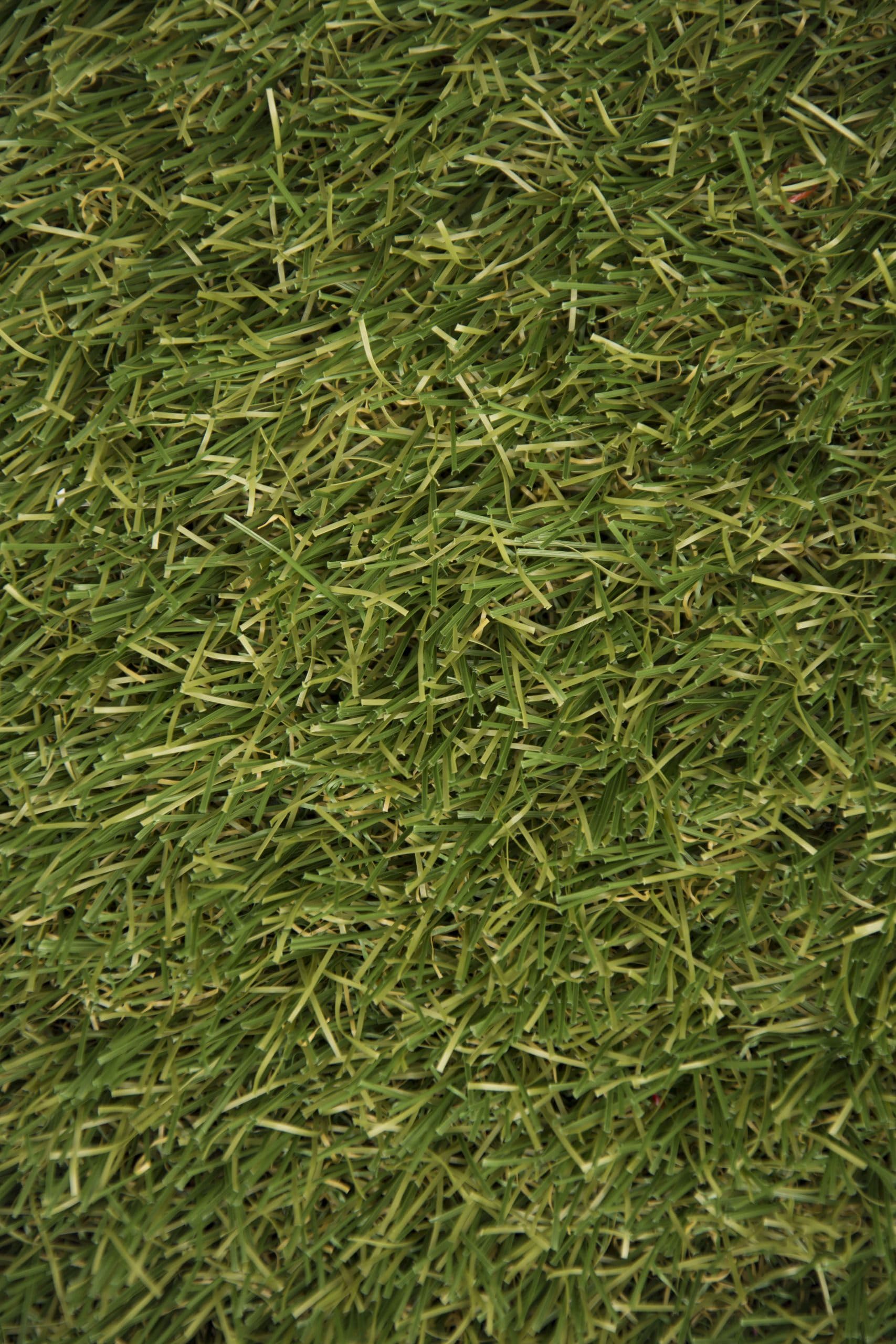 Suinga Gazon Artificiel 40mm Bahamas | Rouleau 1x20m | Tapis de Gazon Synthétique Réaliste à Double Fibre | Idéal pour Jardins, Terrasses et Balcons