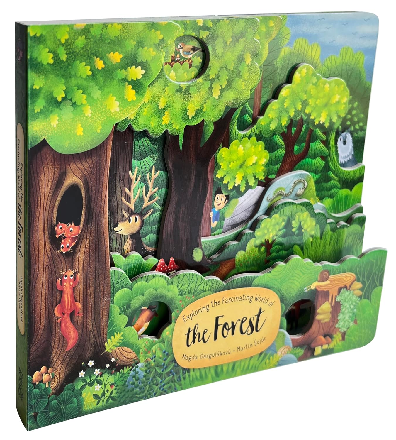 Exploring the Fascinating World of the Forest (Happy Fox Books) Board Book for Kids Ages 3-6 - Walk Deeper into the Trees with Each Page Turn, with Educational Facts and Vocabulary Words