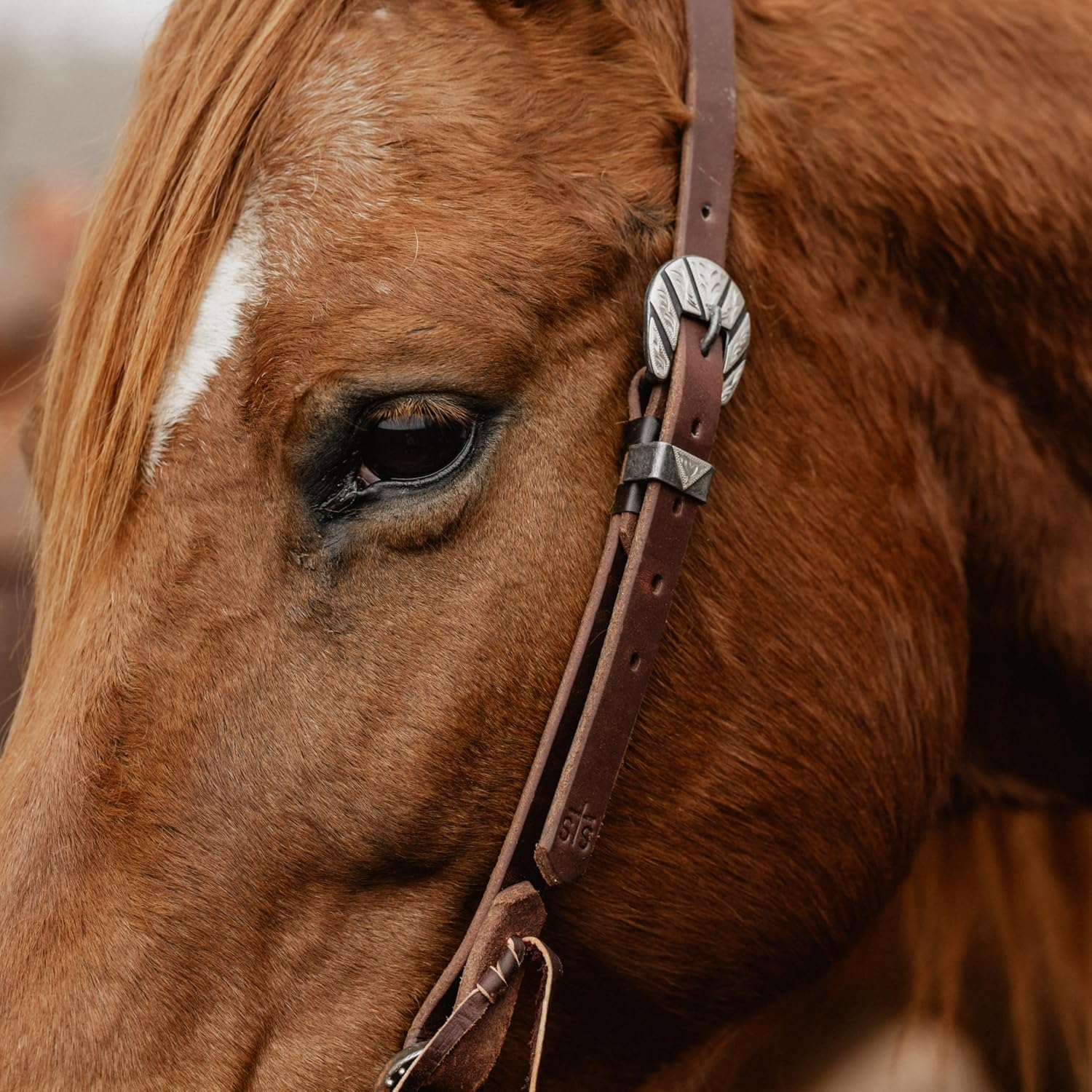 STS Ranch Signature Tack Harness Leather Split Ear Headstall, 3/4"