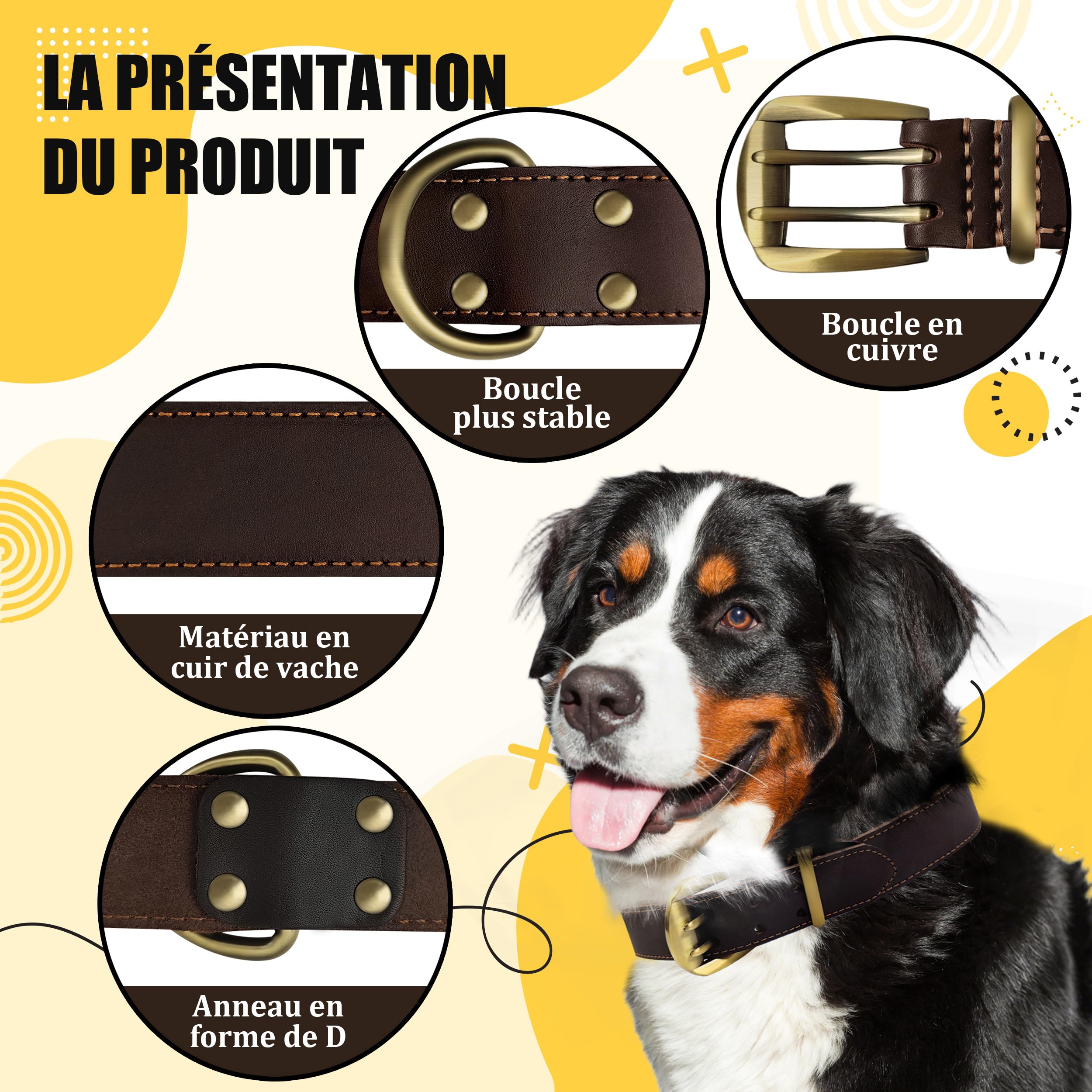 Collier en Cuir pour Grand Chien XXL – Extra Large & Résistant – Idéal pour Labrador, Golden Retriever & Berger Allemand – Cuir Souple avec Boucle en Métal Robuste