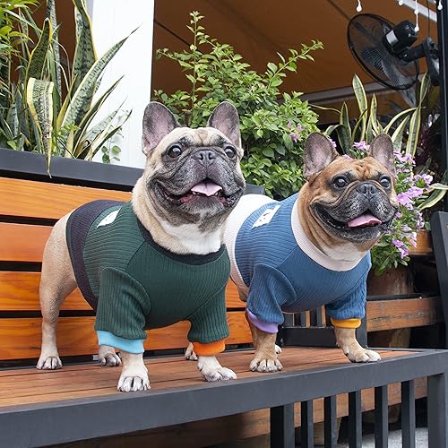 Miniatura 5 de iChoue Suéter de cuello redondo para perro con bloques de color, ropa cálida de invierno para bulldog francés, cachorro de pug francés, negro y