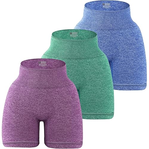 BAYDI Workout Shorts for Women 3 Pack High Waisted Seamless Yoga Shorts Athletic Gym Biker Shorts