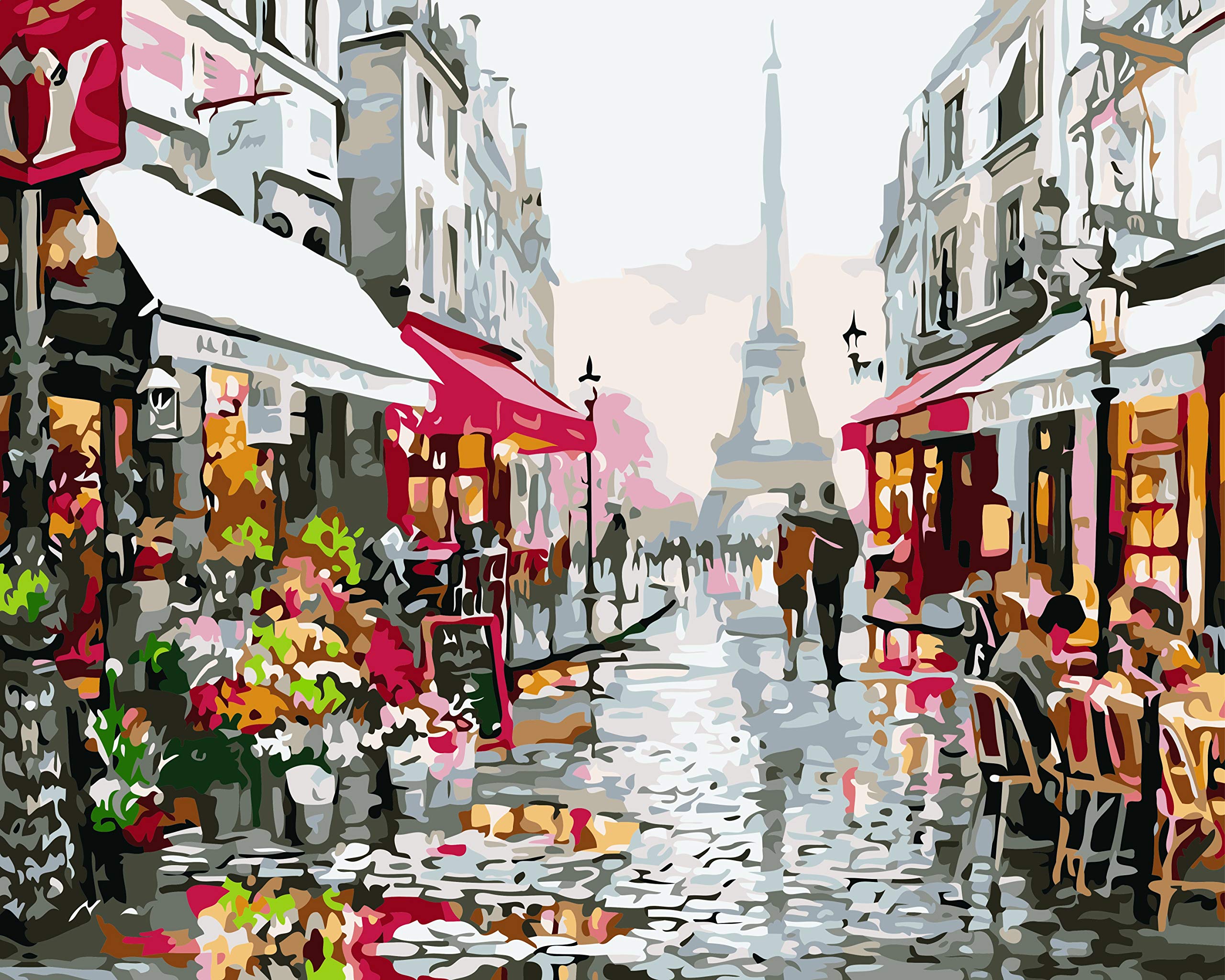 Inrali DIY Oil Painting,Paint by Number Kit for Kids Adults Students Beginner DIY Canvas Painting by Numbers Acrylic Oil Painting Arts Craft for Home Wall Decoration 16x20 Inch (C)