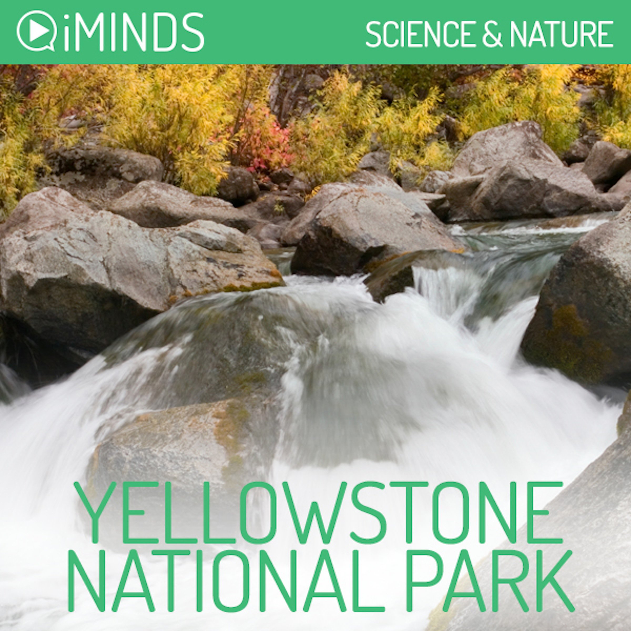 Cover art for Yellowstone National Park