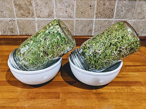 Miniatura 5 de Paquete variado de semillas germinadas con tarro sin OMG. Paquete de 10 semillas premedidas para frascos de 32 oz o bandeja de 8 pulgadas. Incluye 2