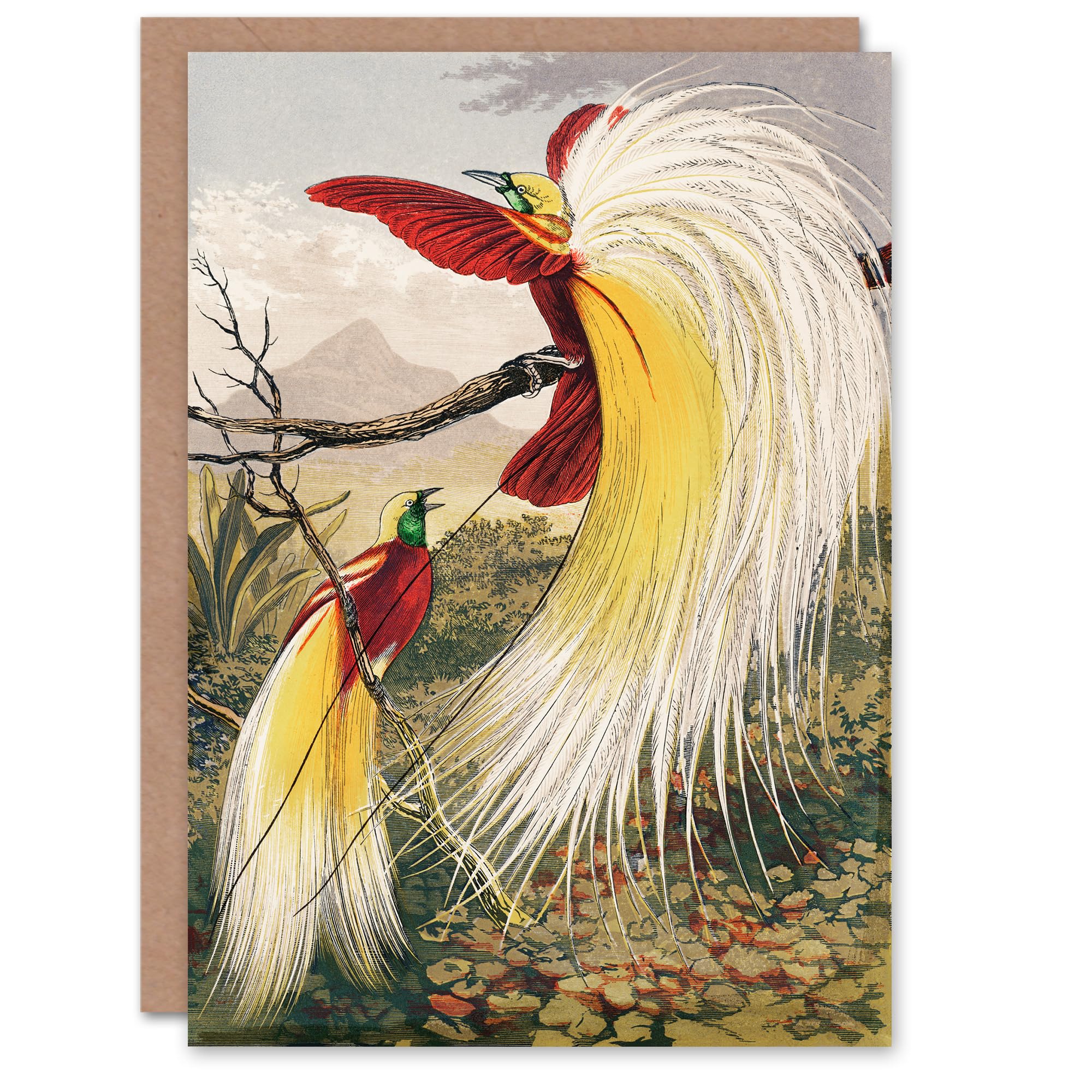 Artery8 Benjamin Fawcett Art Card Bird of Paradise Exotic Animal
