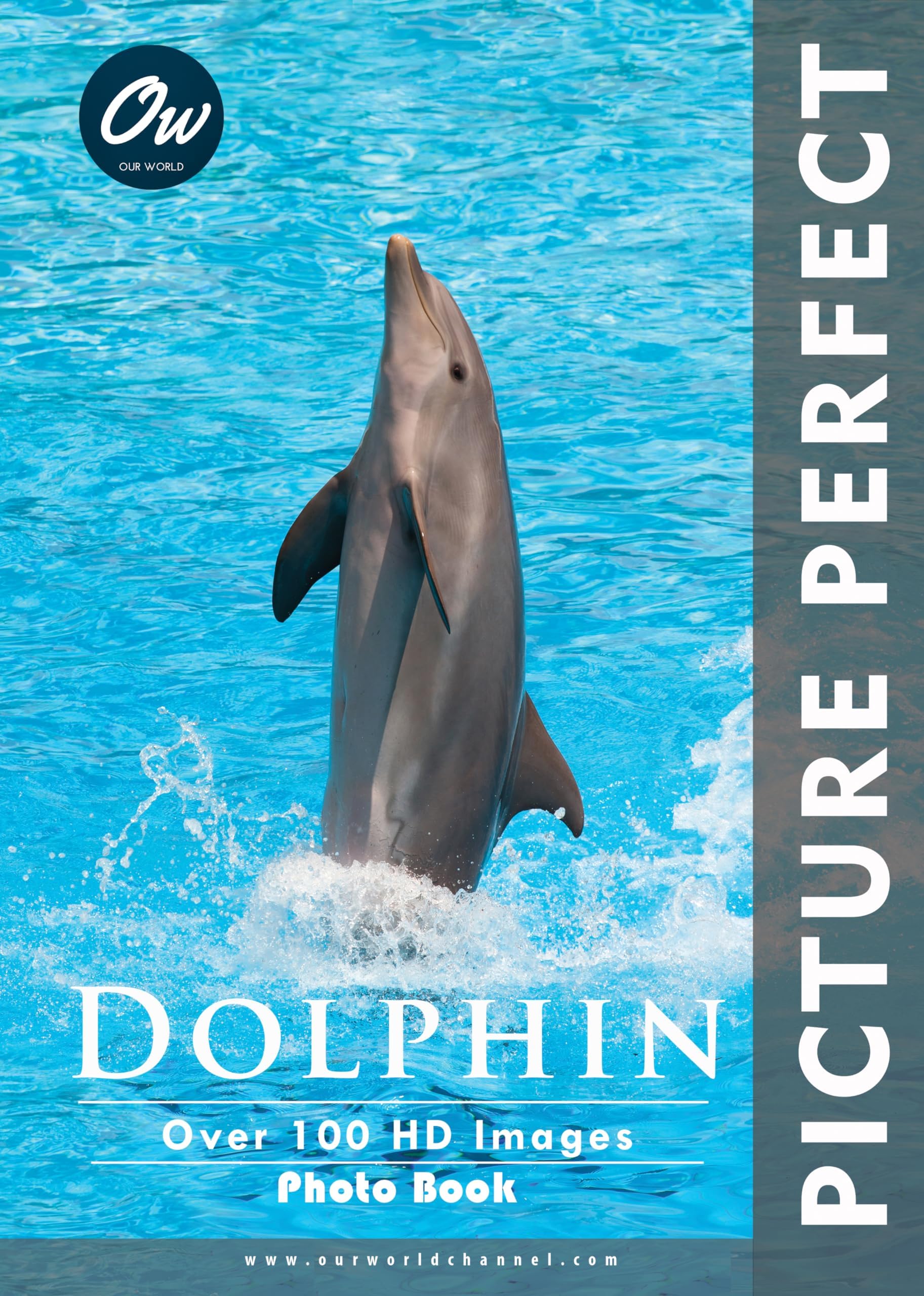 Dolphin: Picture Perfect Photo Book