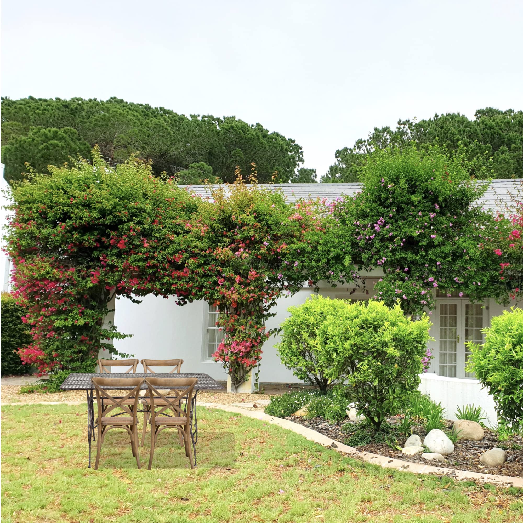 Biscottini - Tavolo da balcone e Giardino 150x80x77 cm - Tavolo da Esterno in Ferro Battuto - Tavolo Giardino anticato - Tavolo da Giardino Smontabile