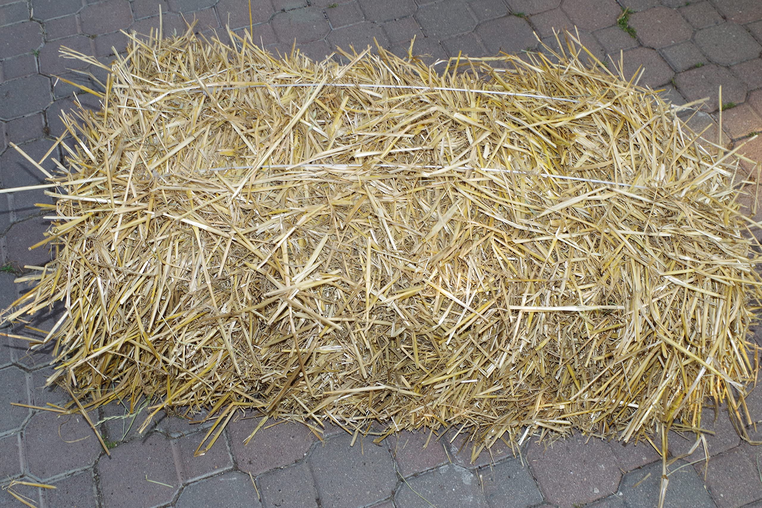 Agricoltura Paglia di Grano tenero da Usare Come Alimento o per la Lettiera degli Animali in Balle da Circa 10 kg