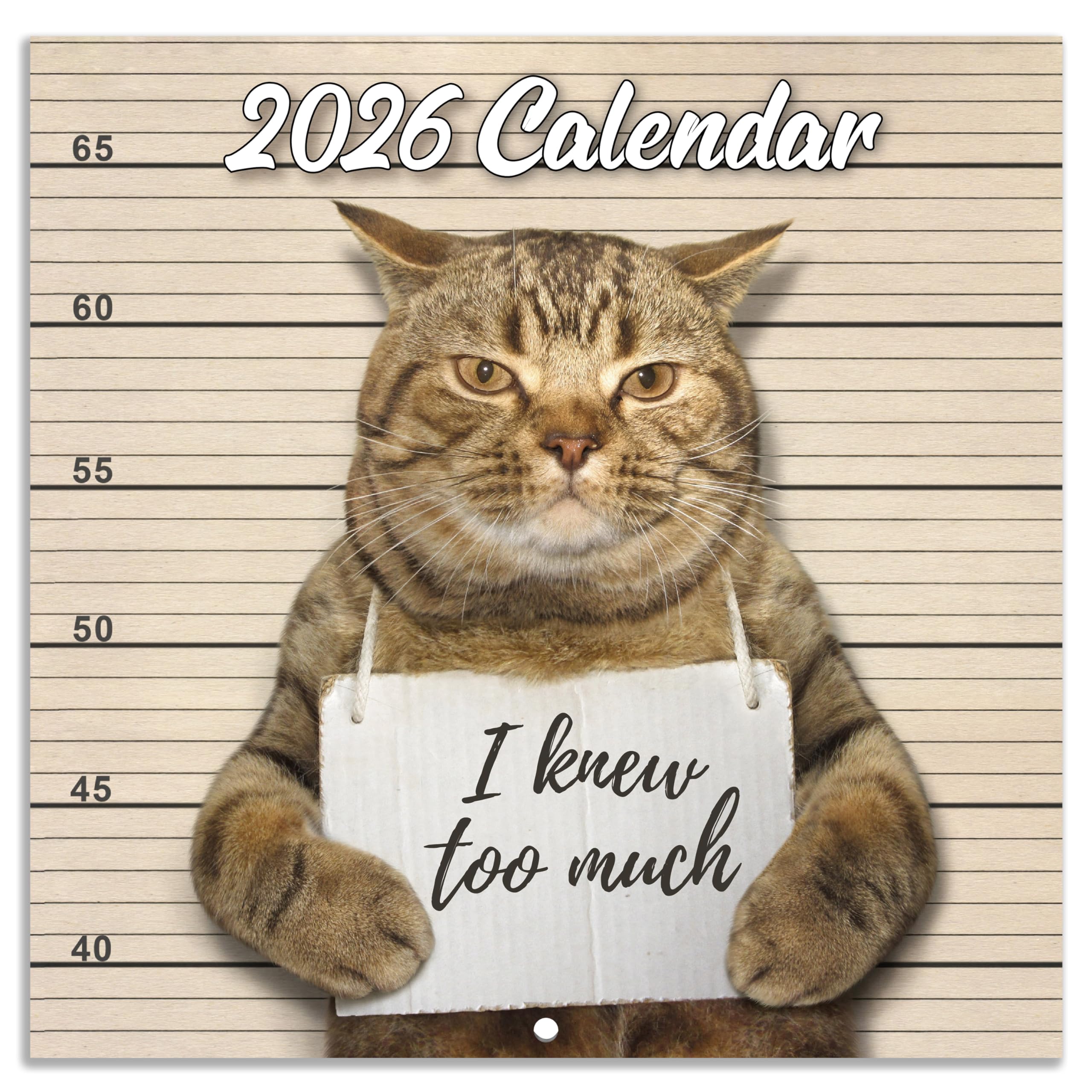 2024 Wall Calendar - Funny Cat 2024, January December Gag Gift Memes Pics, 12'' x 24'' Opened, Best for White Elephant Gift, Prank Brown (YAMMBQBQMD24A01)