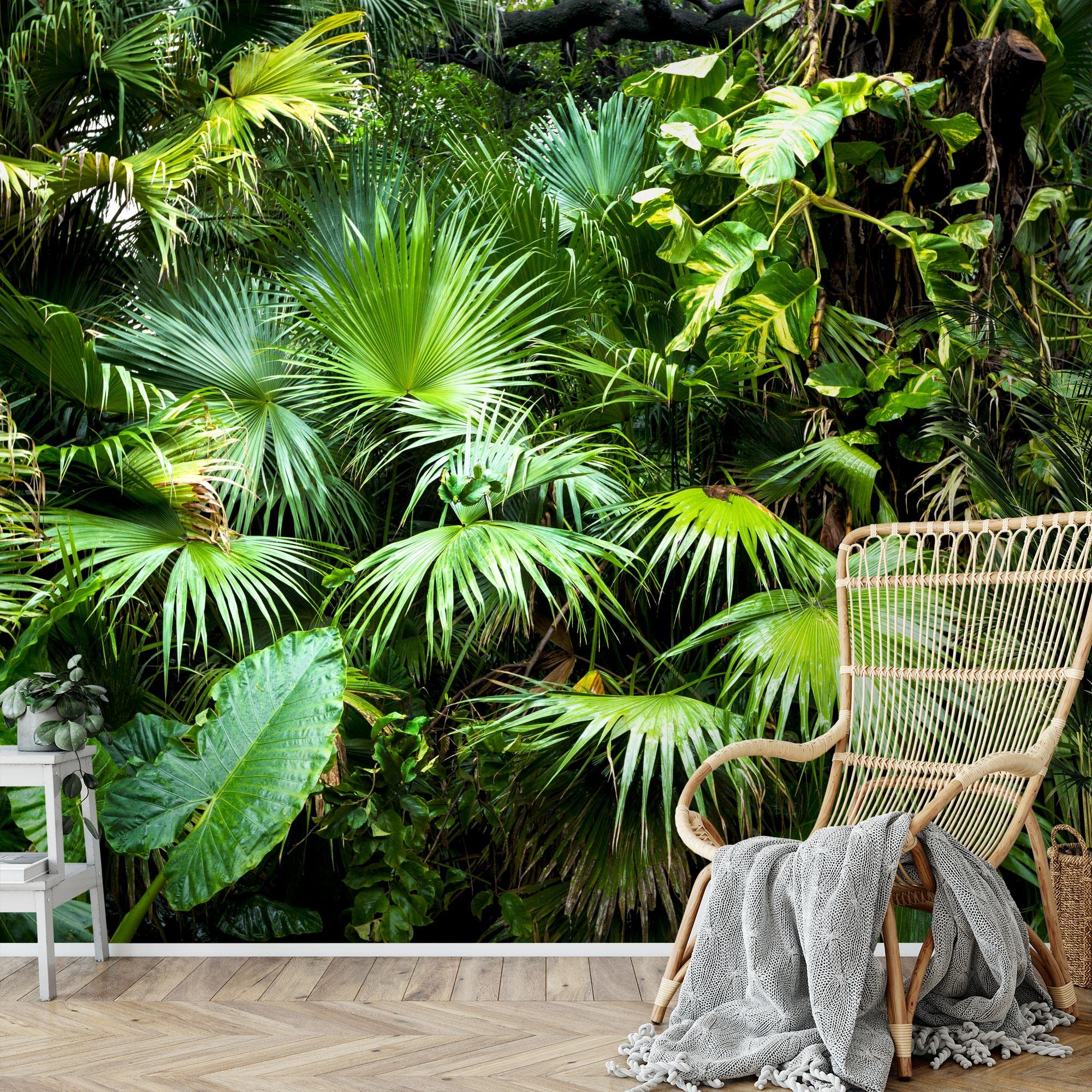 Runa Art Papier Peint Intissé Tapisserie Paysage 352x250 Cm (8,8 M2