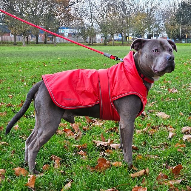 Foto 7 de 8 de Hugglepets Arctic Armour - Abrigo térmico impermeable para perro, color rosa (XL, 60 cm), abrigo reflectante…