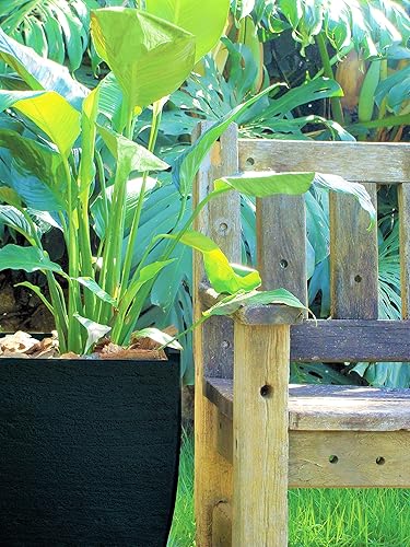 Miniatura 7 de JAPI Pottery - Maceta cuadrada moderna de plástico, 30 pulgadas de alto x 18.5 pulgadas de ancho x 18.5 pulgadas de profundidad (piedra arenisca)