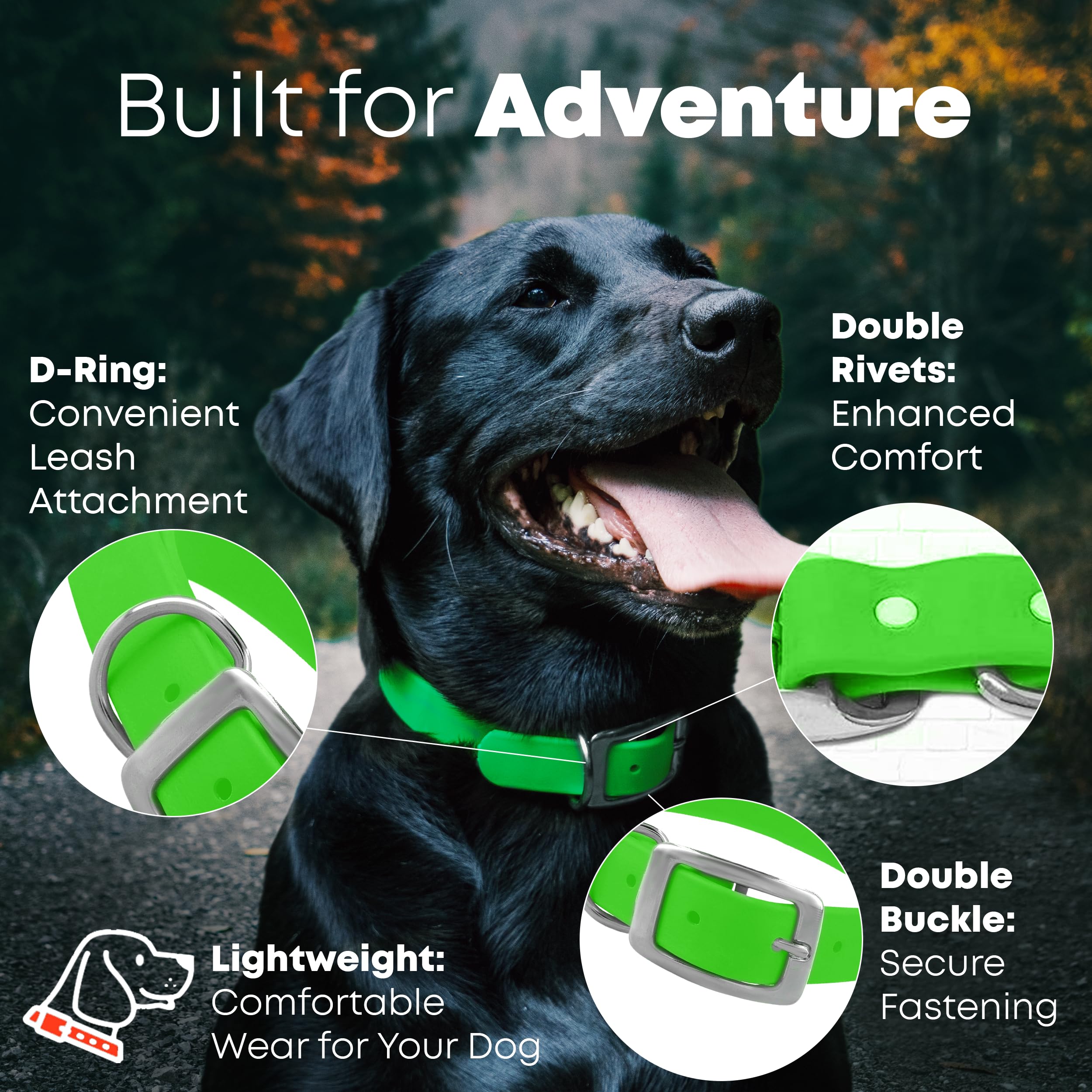 Regal Dog Products Collare e guinzaglio per Cani Resistenti all'Acqua Verde - Fettuccia Rivestita in Vinile su Misura, Doppia Fibbia e Anello a D per Cani di Taglia Media