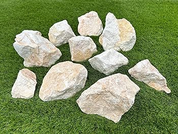 庭石　置き石 Amazon.co.jp: ロックガーデン 石 庭石 黄色 イエロー ロック