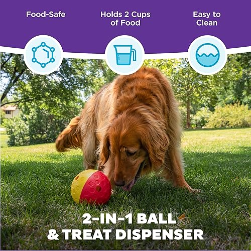 Miniatura 10 de Planet Dog Orbee-Tuff Lil' Snoop - Juguete interactivo para perros dispensador de premios, pequeño, rojo