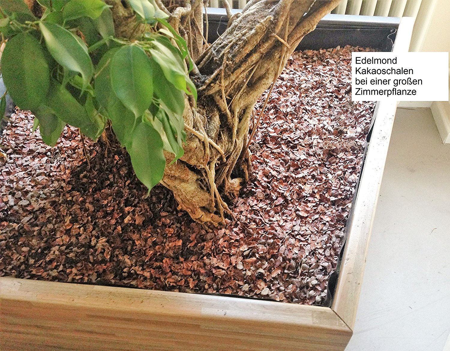 Edelmond Bio Kakaoschalen Mulch ✓ Für Haus und Garten ✓ Ohne Pestizide auch für Innenräume geeignet ✓ Dekoration und Bio Alternative zu Rindenmulch ✓ Lose fallend, Keine Pressware (20 kg)