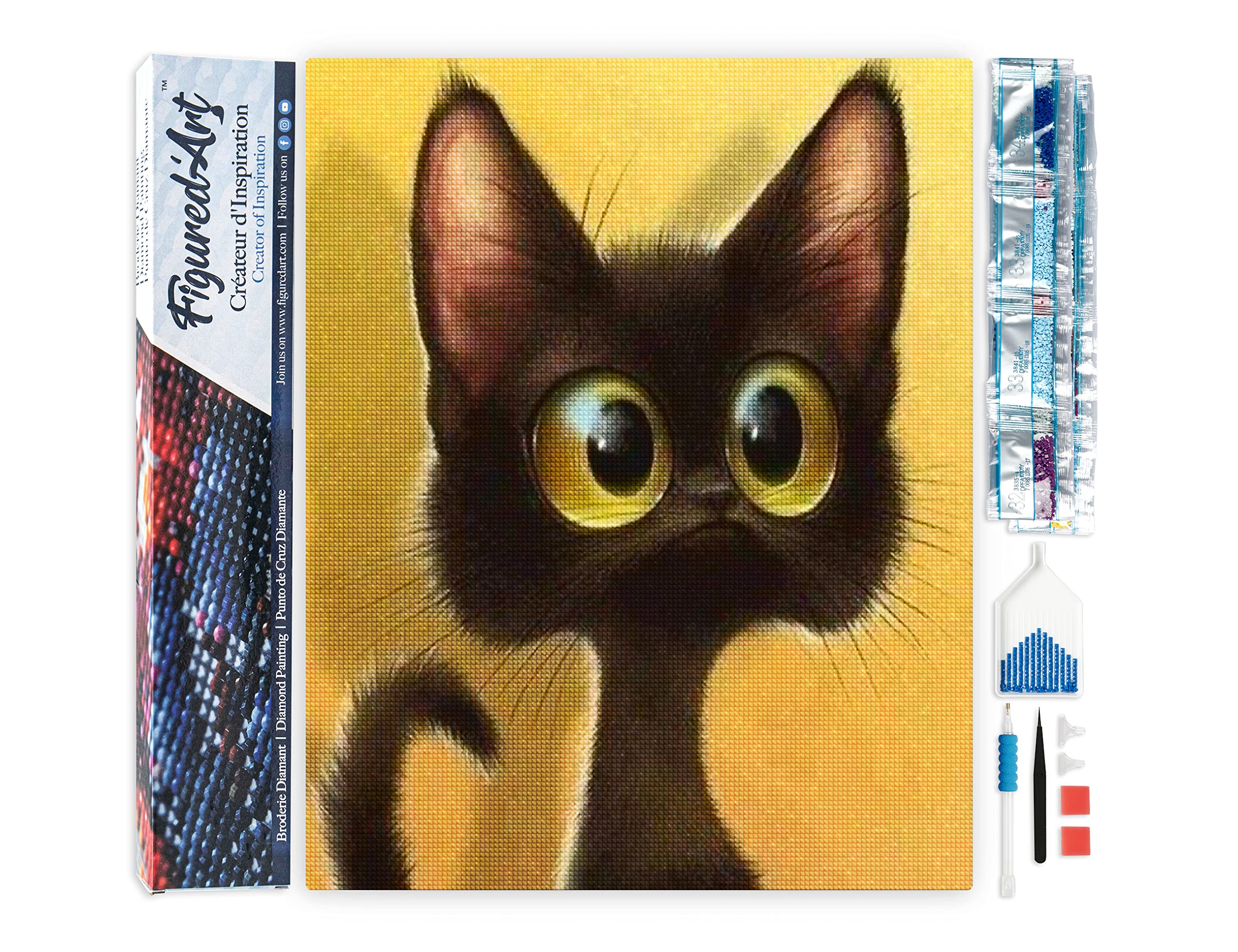 Diamond Painting Kit completo - Cuadro 40x50cm de Pintura de Diamante - Lienzo entero enrollado con diamantes de imitación cuadrados - Gato sorprendido - 5D DIY Manualidades Adultos