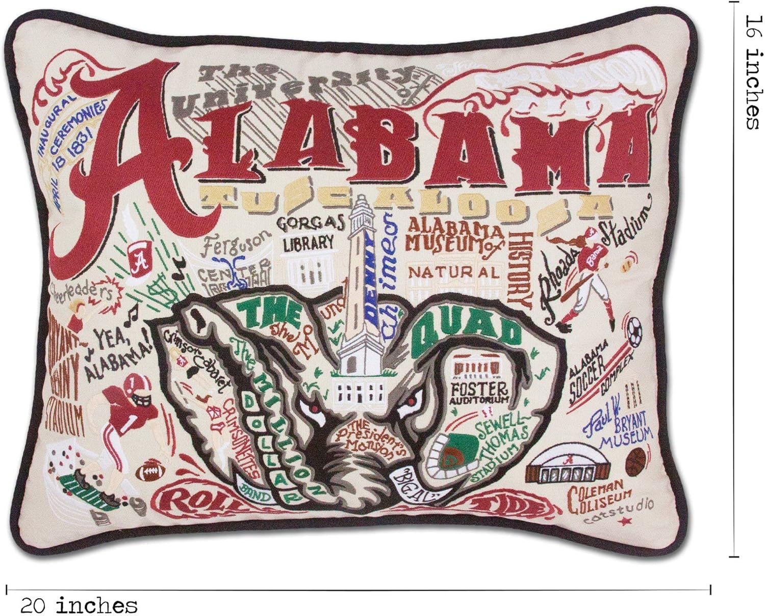 catstudio collegiate pillows