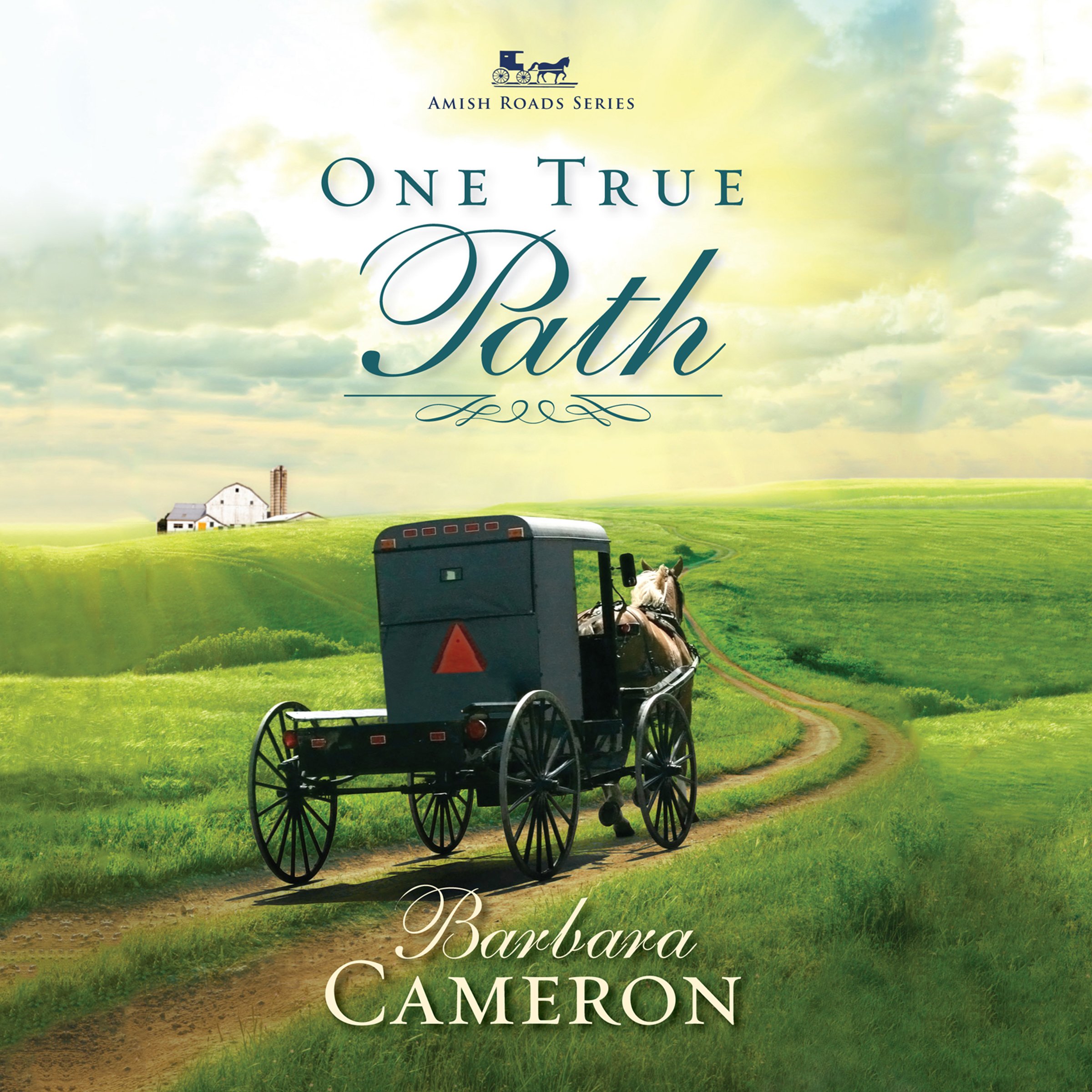 Cover art for One True Path