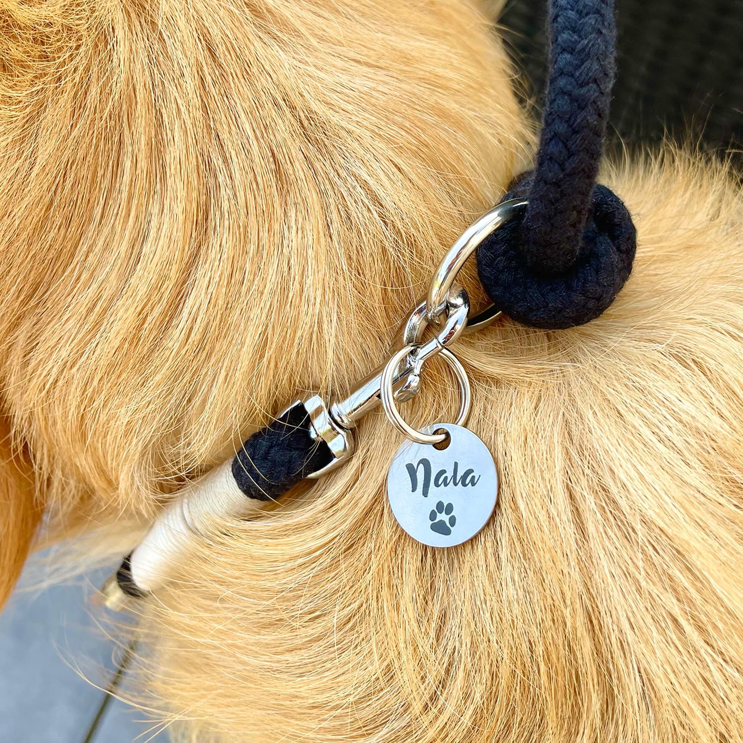 Médaille d’identification personnalisée pour chien en acier inoxydable avec gravure du nom, numéro de téléphone, adresse et date – médaille robuste pour chien – pour Noël et anniversaire