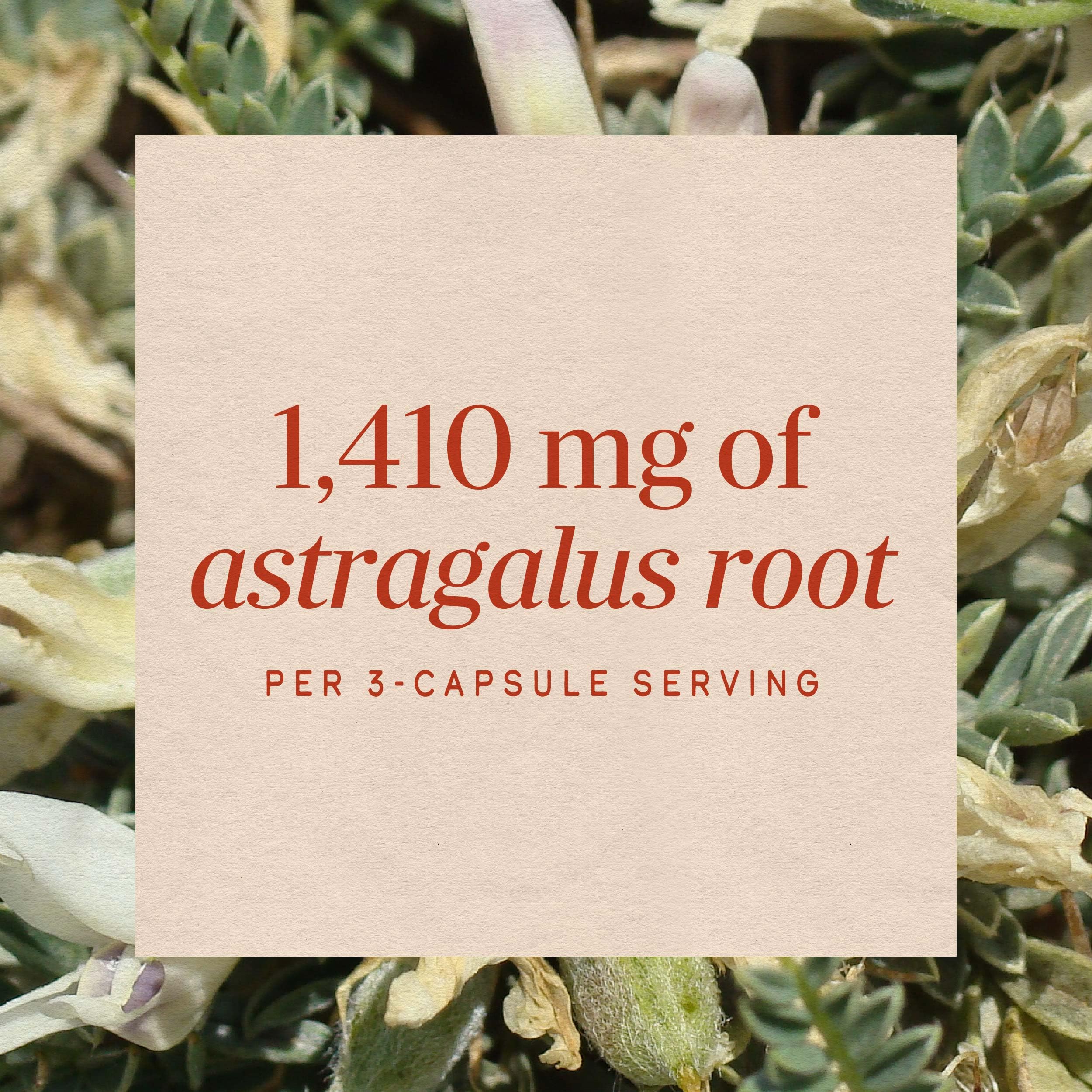 Nature's Way Astragalus Root, Traditional Immune Support*, Non-GMO Project Verified, Vegan, 180 Capsules — Amazon image 4